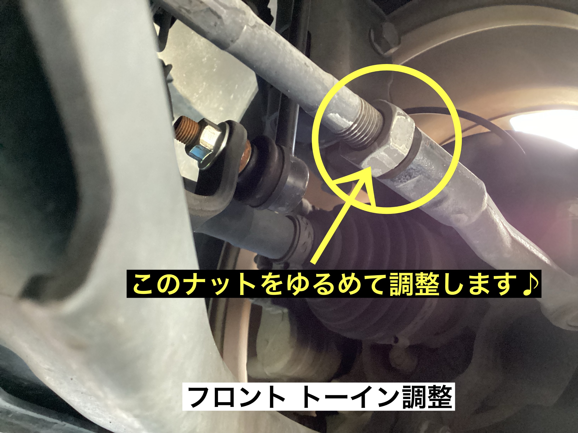 スタッフが撮影