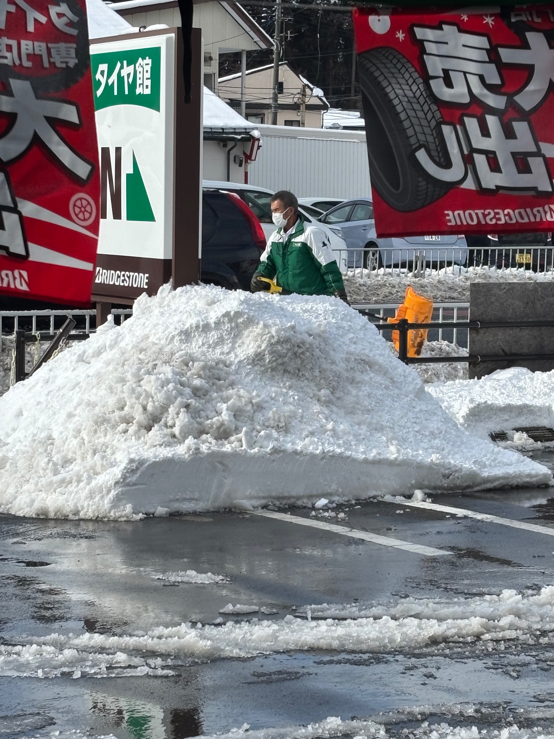 スタッフ撮影です
