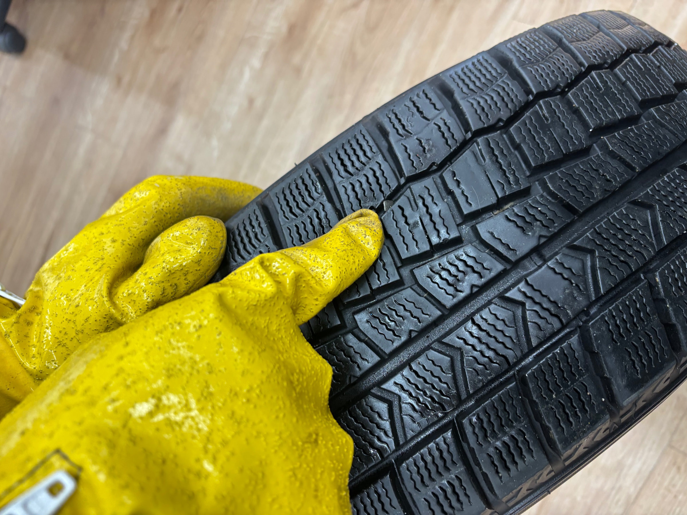 スタッフ撮影です