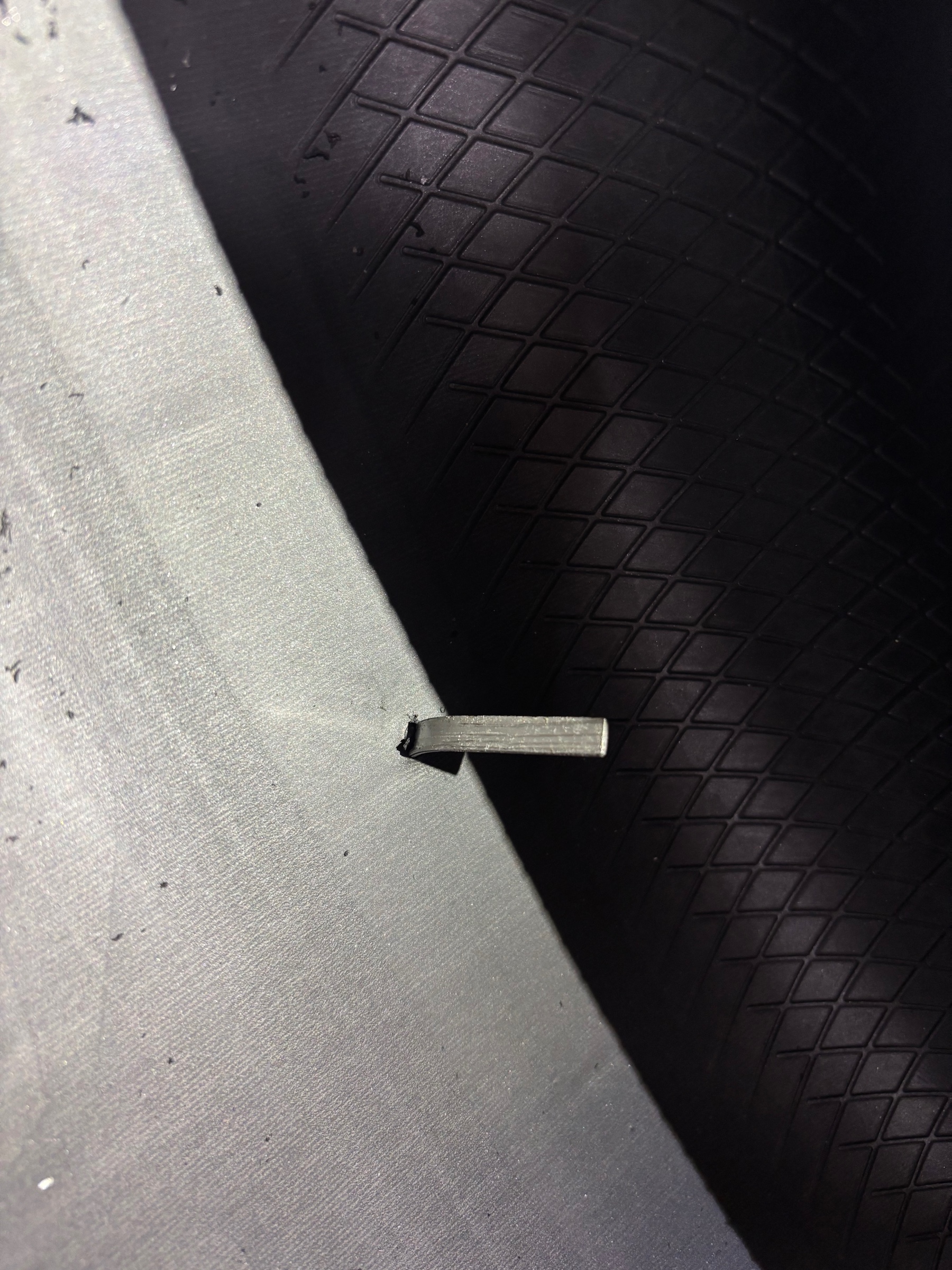 スタッフ撮影です