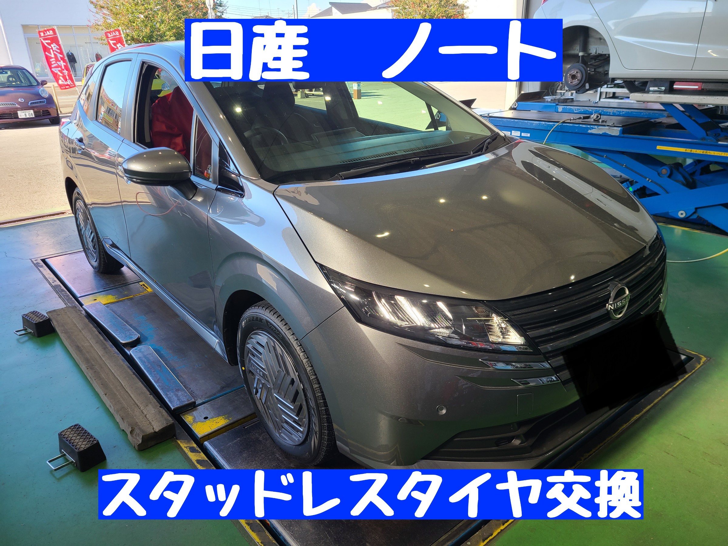 スタッフが撮影しました。