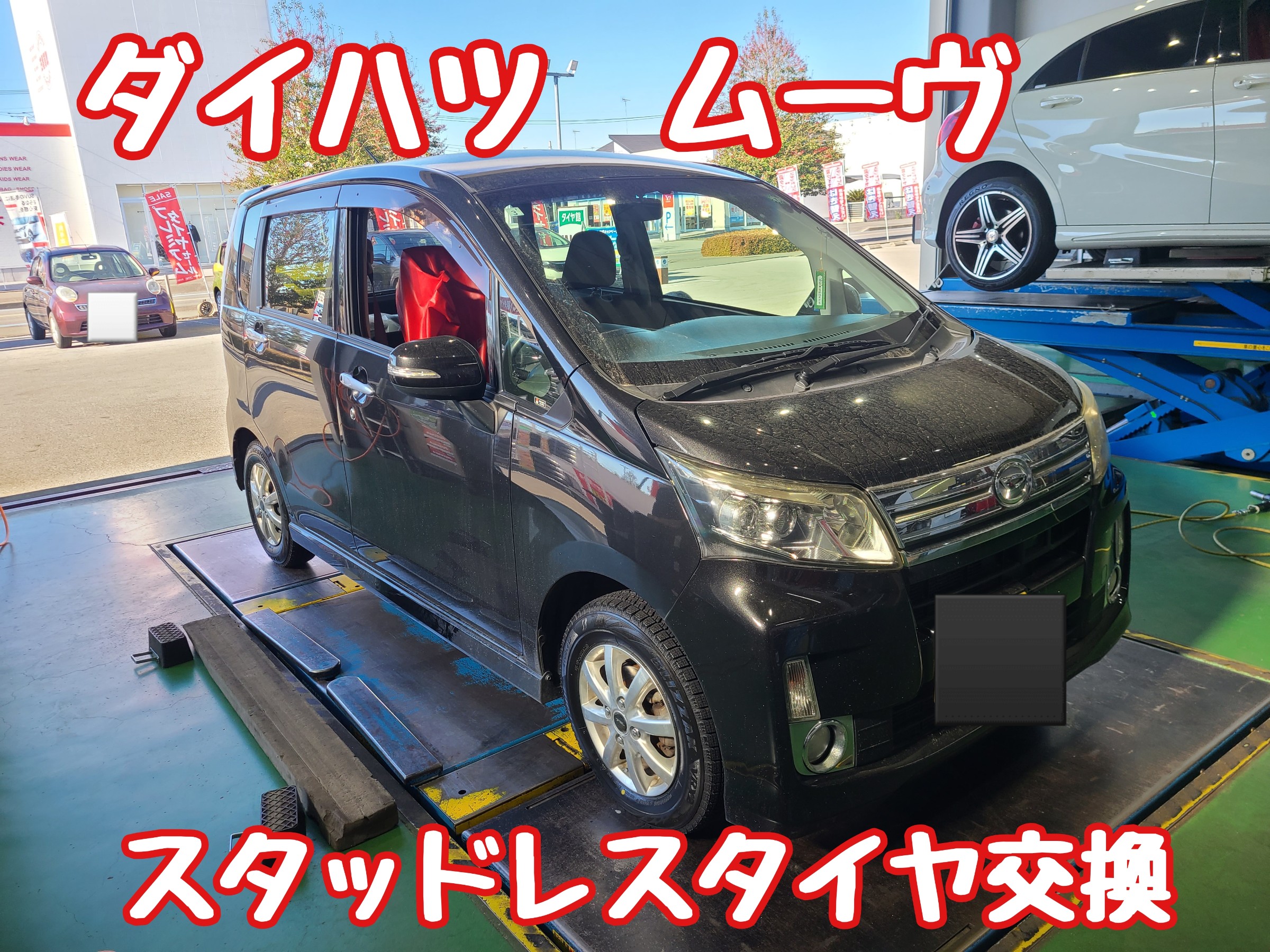 スタッフが撮影しました。