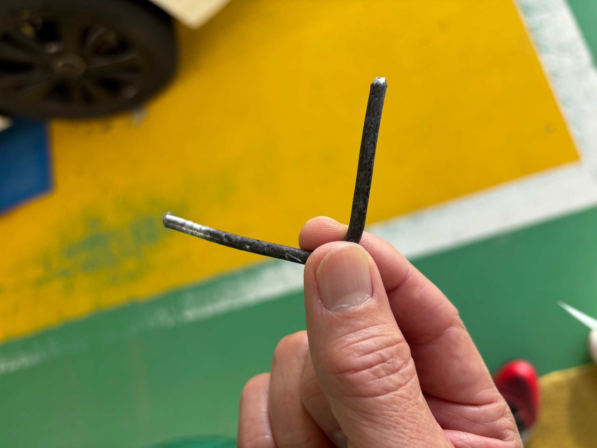 スタッフ撮影です