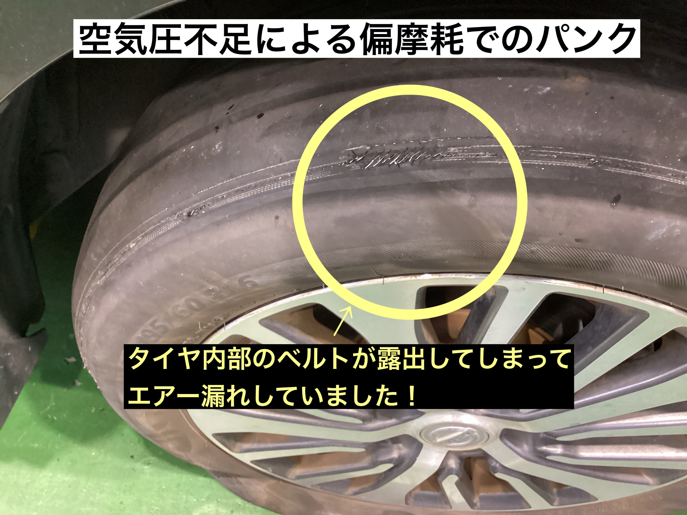 スタッフが撮影