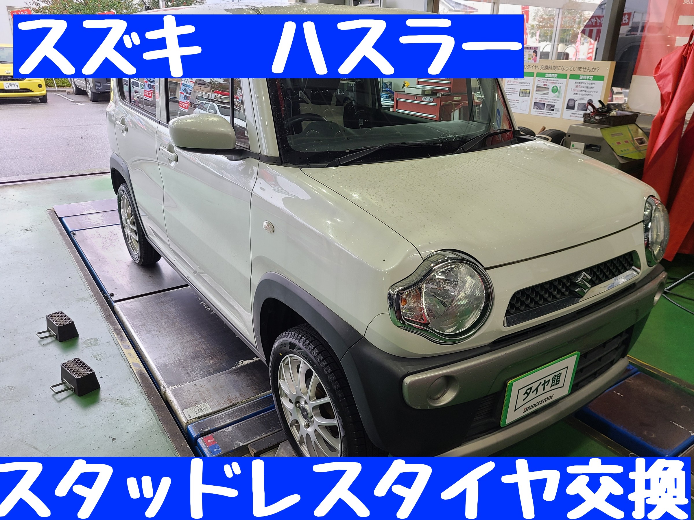 スタッフが撮影しました。