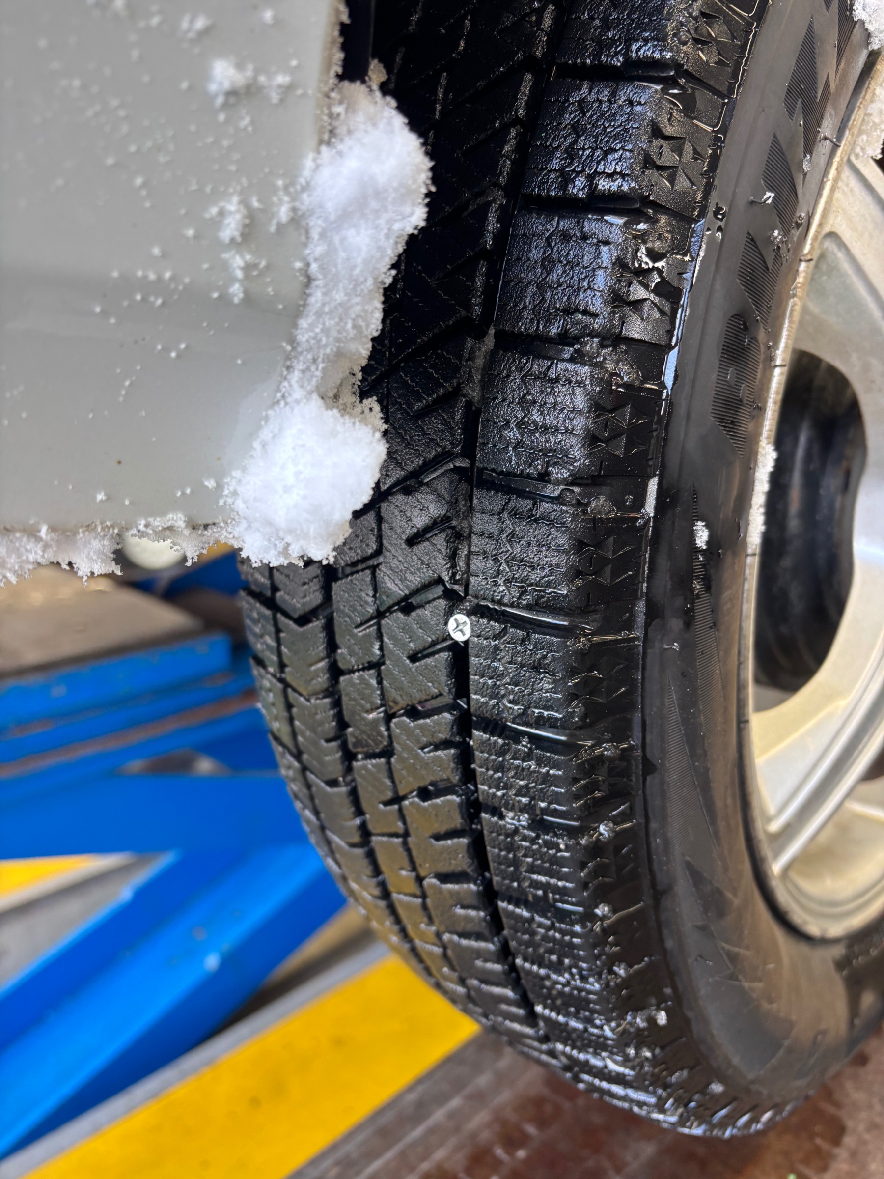 スタッフ撮影です。