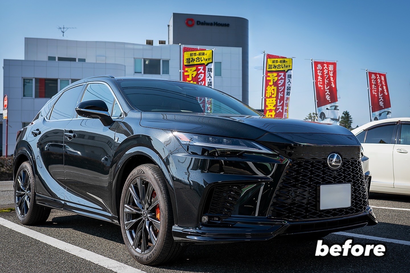 レクサスRX(LA/LH系)専用 ダウンサスキット(RS-R Ti2000 HALF