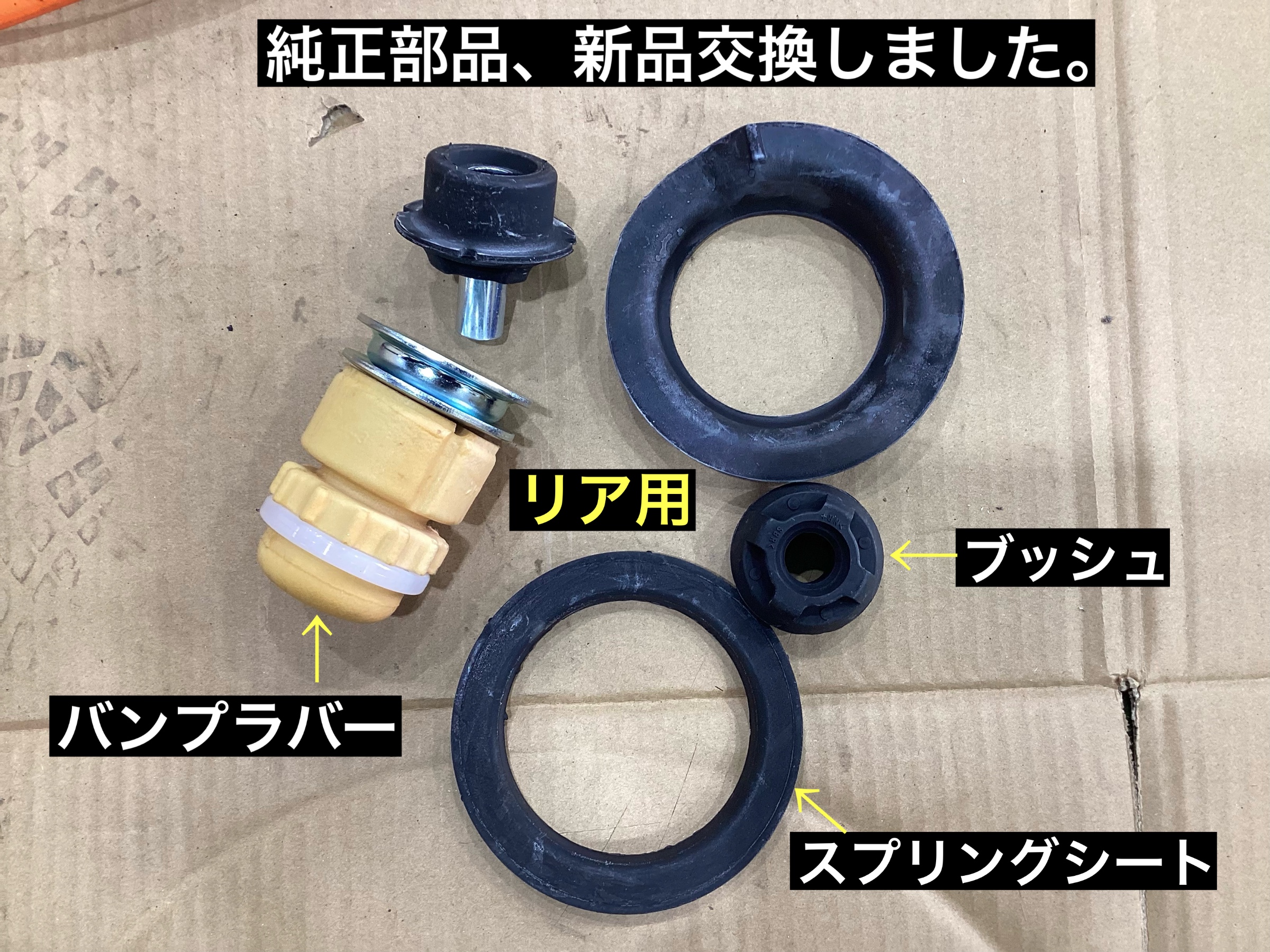 スタッフが撮影