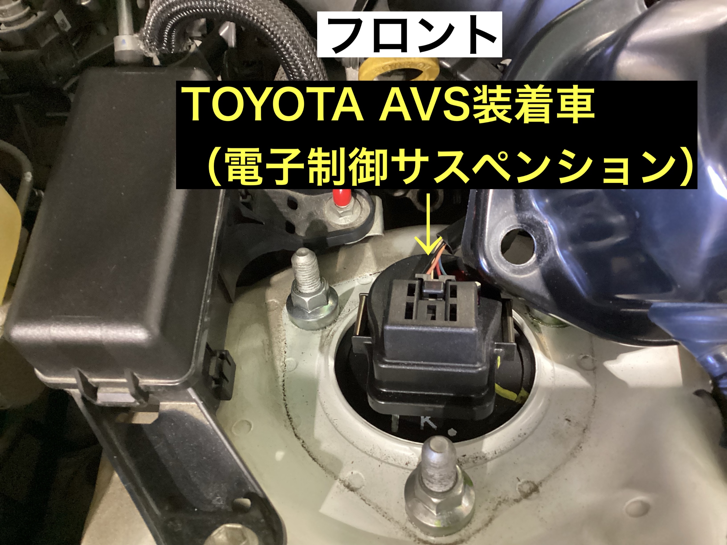 スタッフが撮影