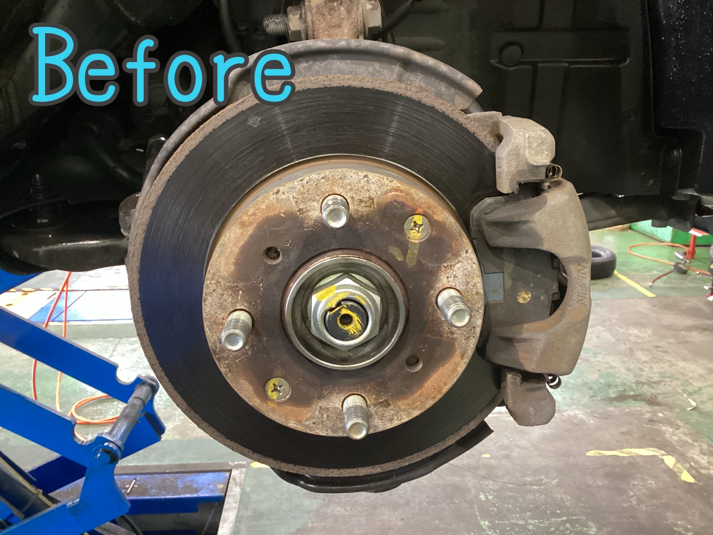 スタッフが撮影した写真です