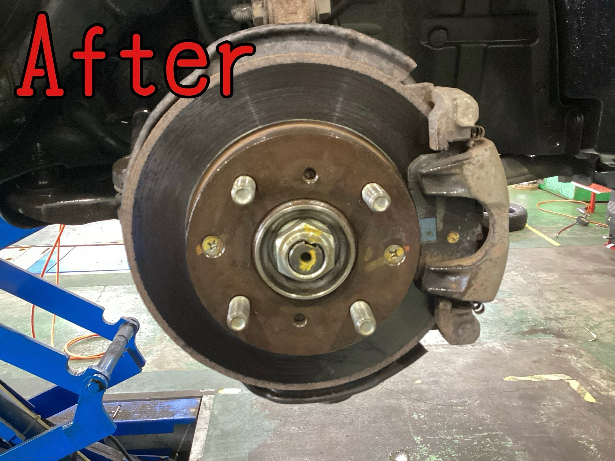 スタッフが撮影しました