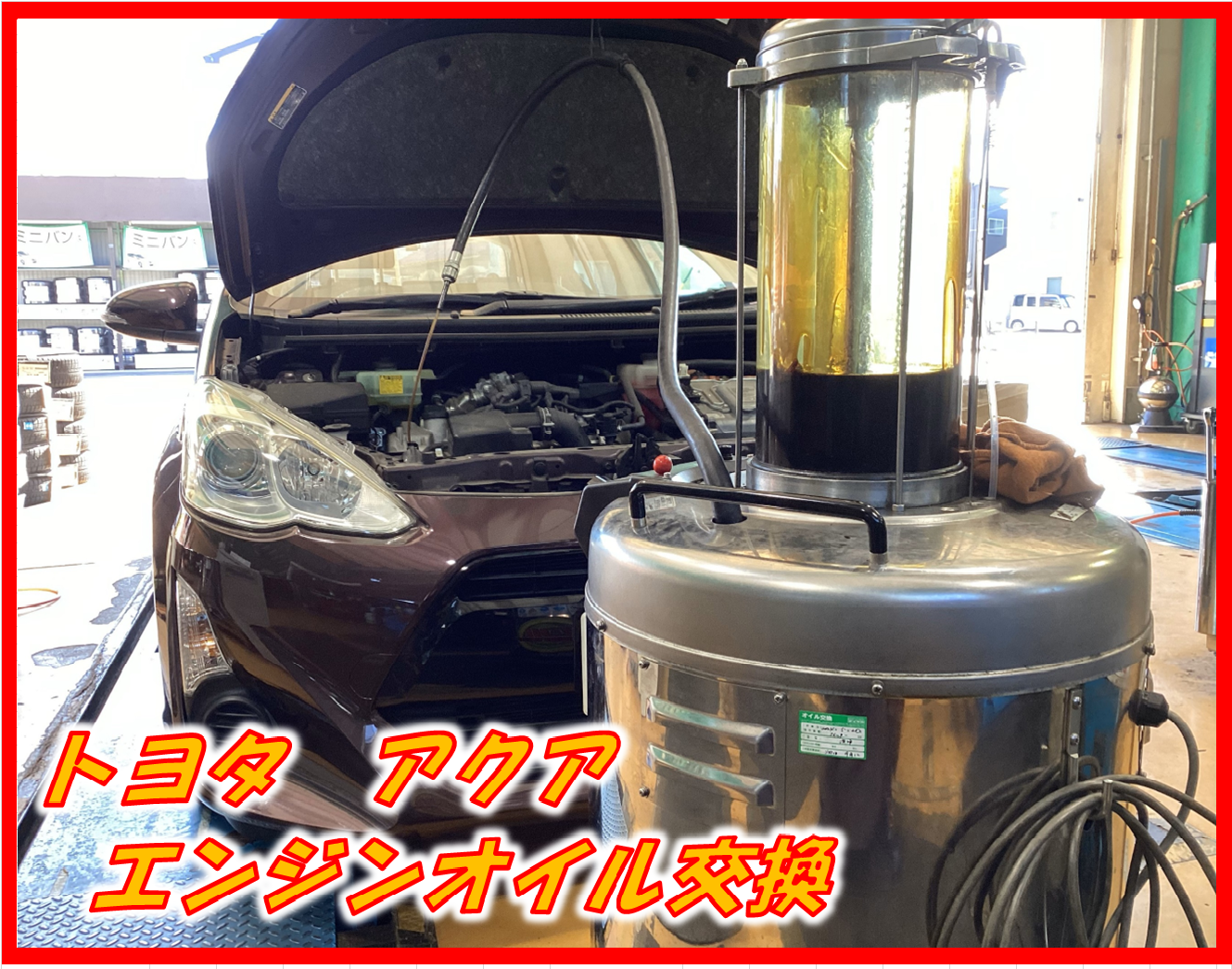 スタッフが撮影した画像です