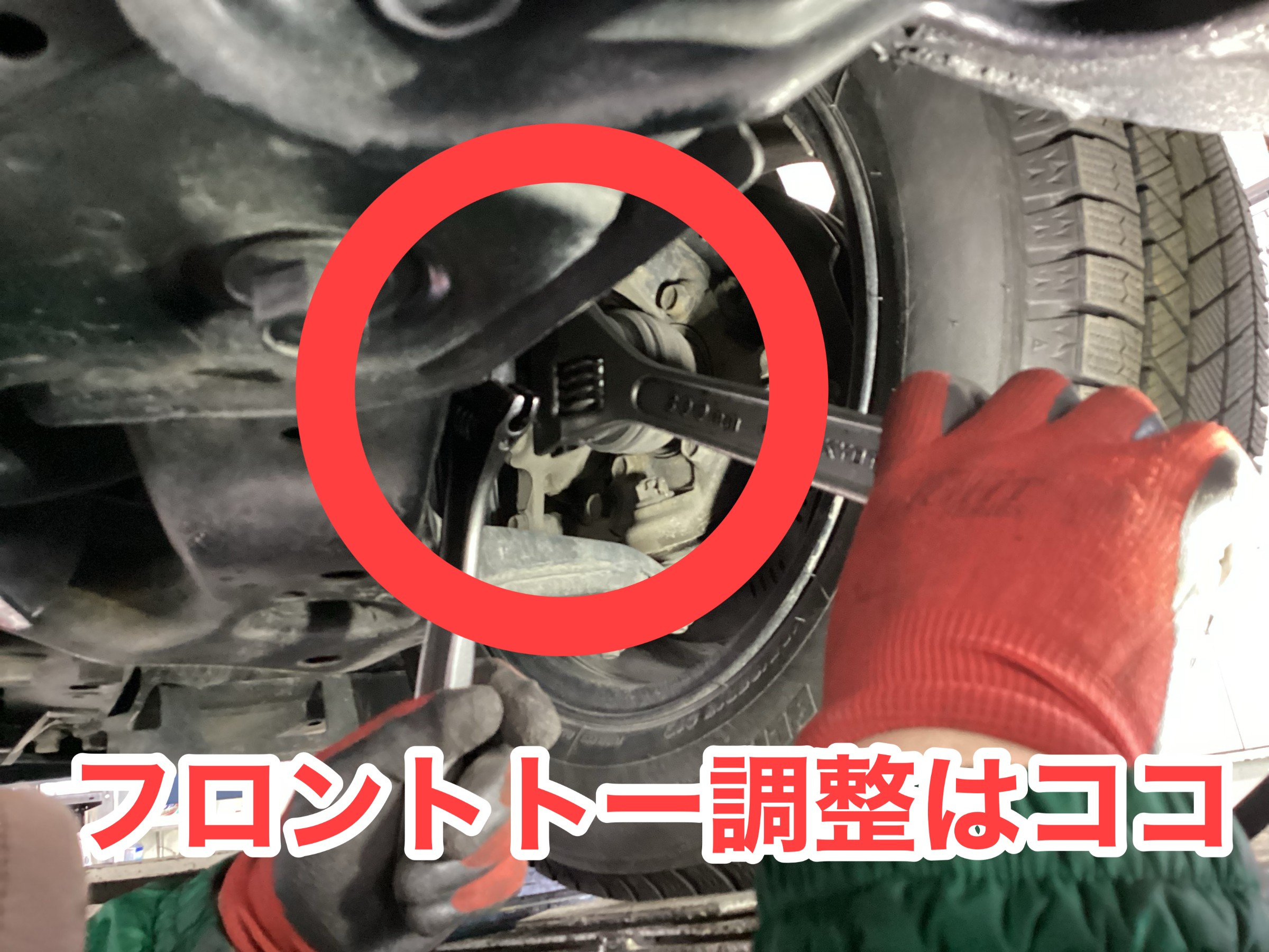 スタッフが撮影した写真です。