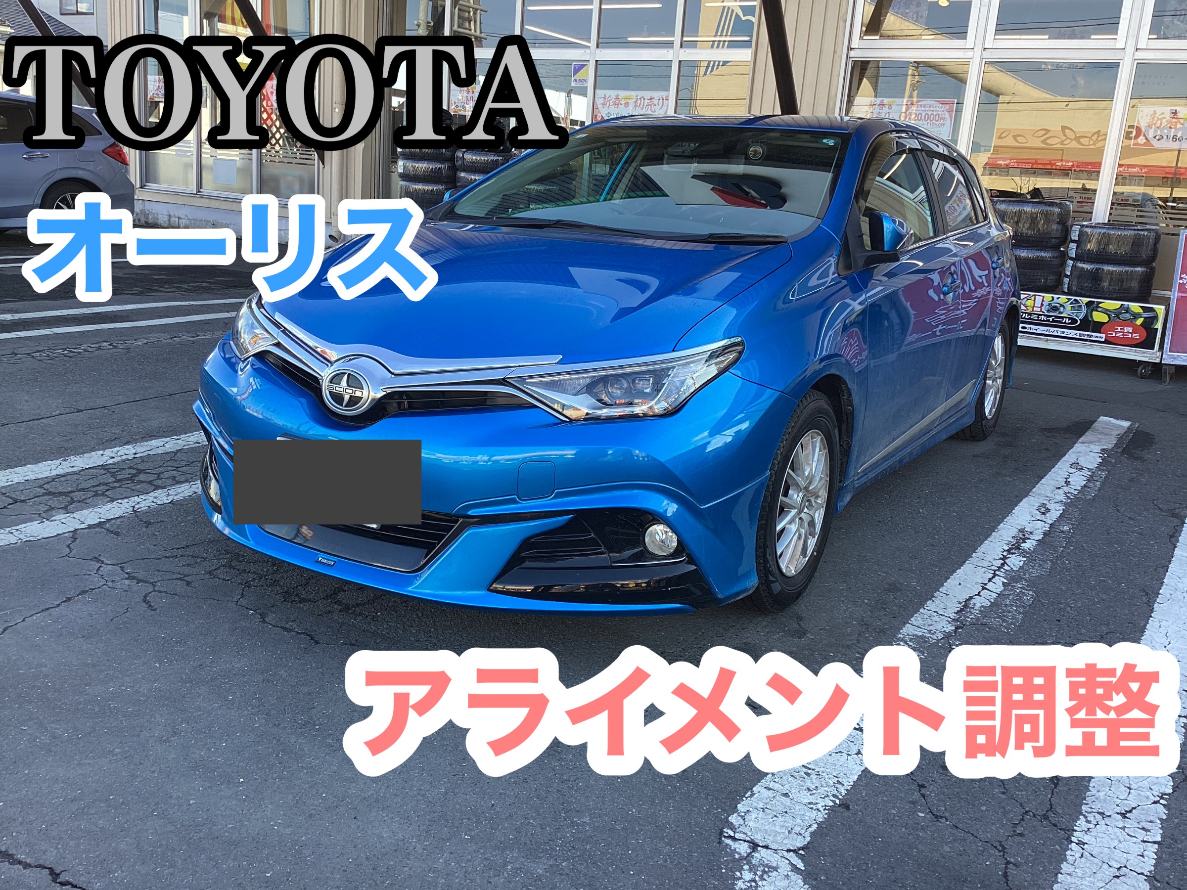 スタッフが撮影した写真です。