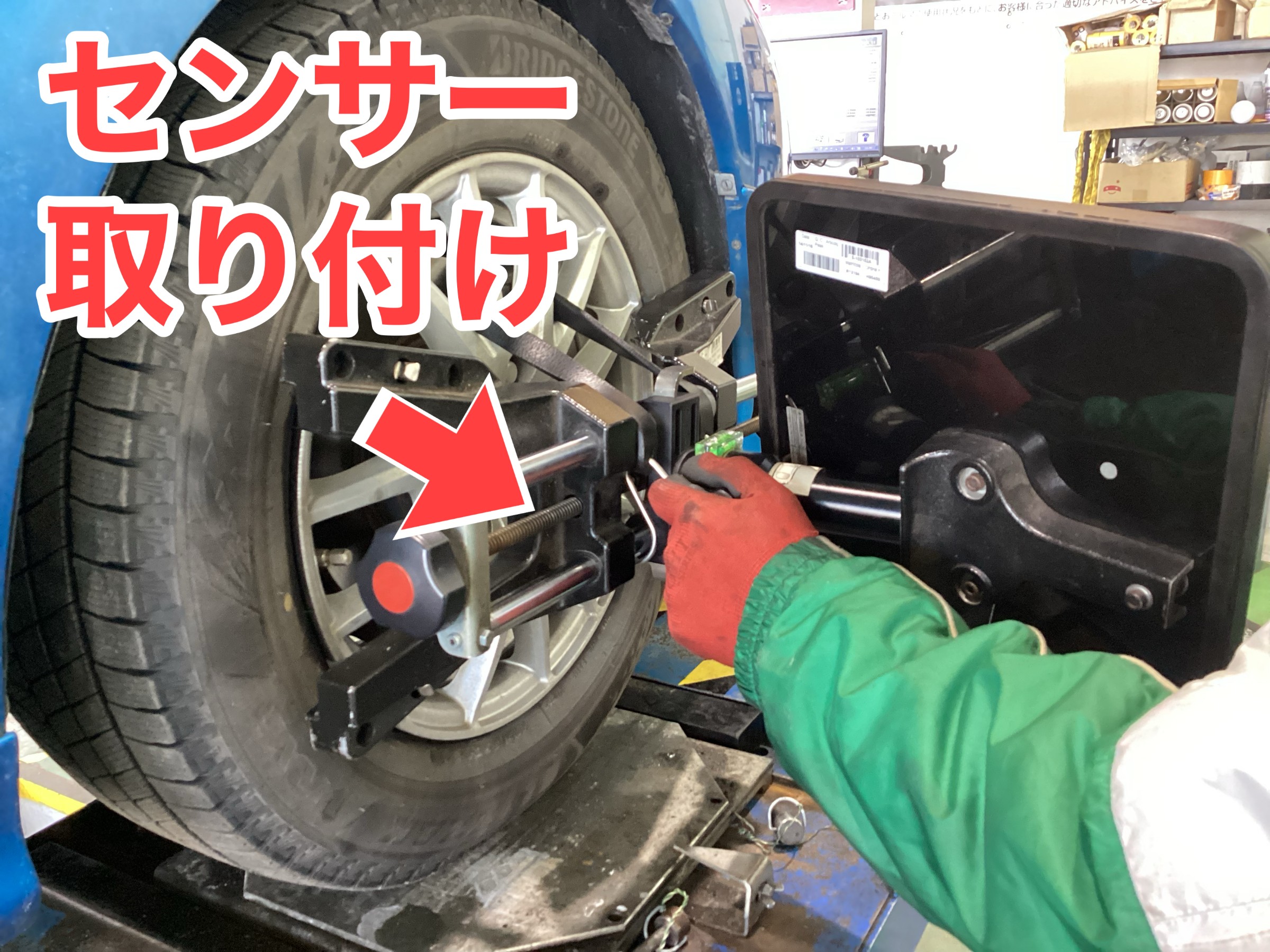 スタッフが撮影した写真です。