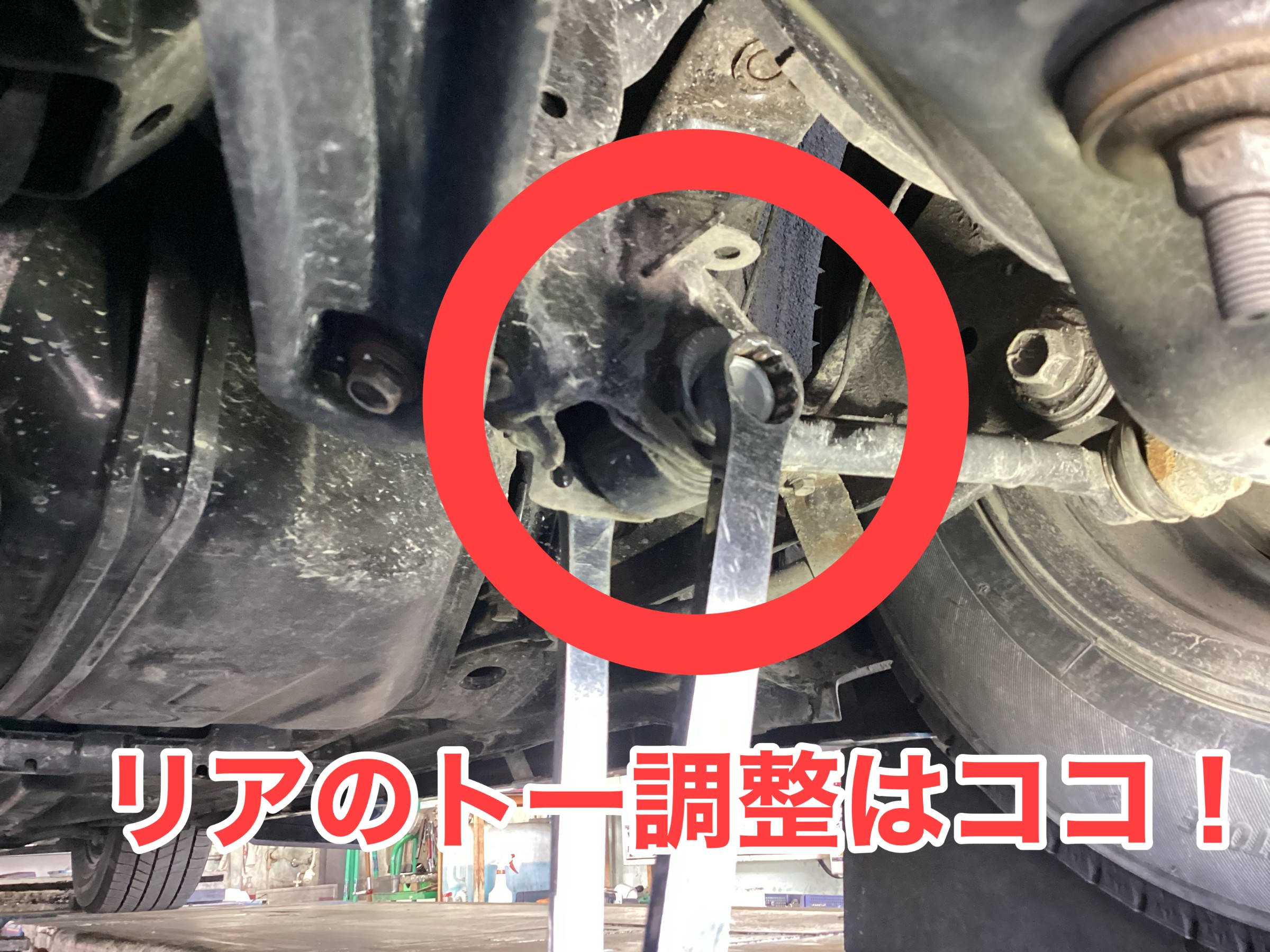 スタッフが撮影した写真です。