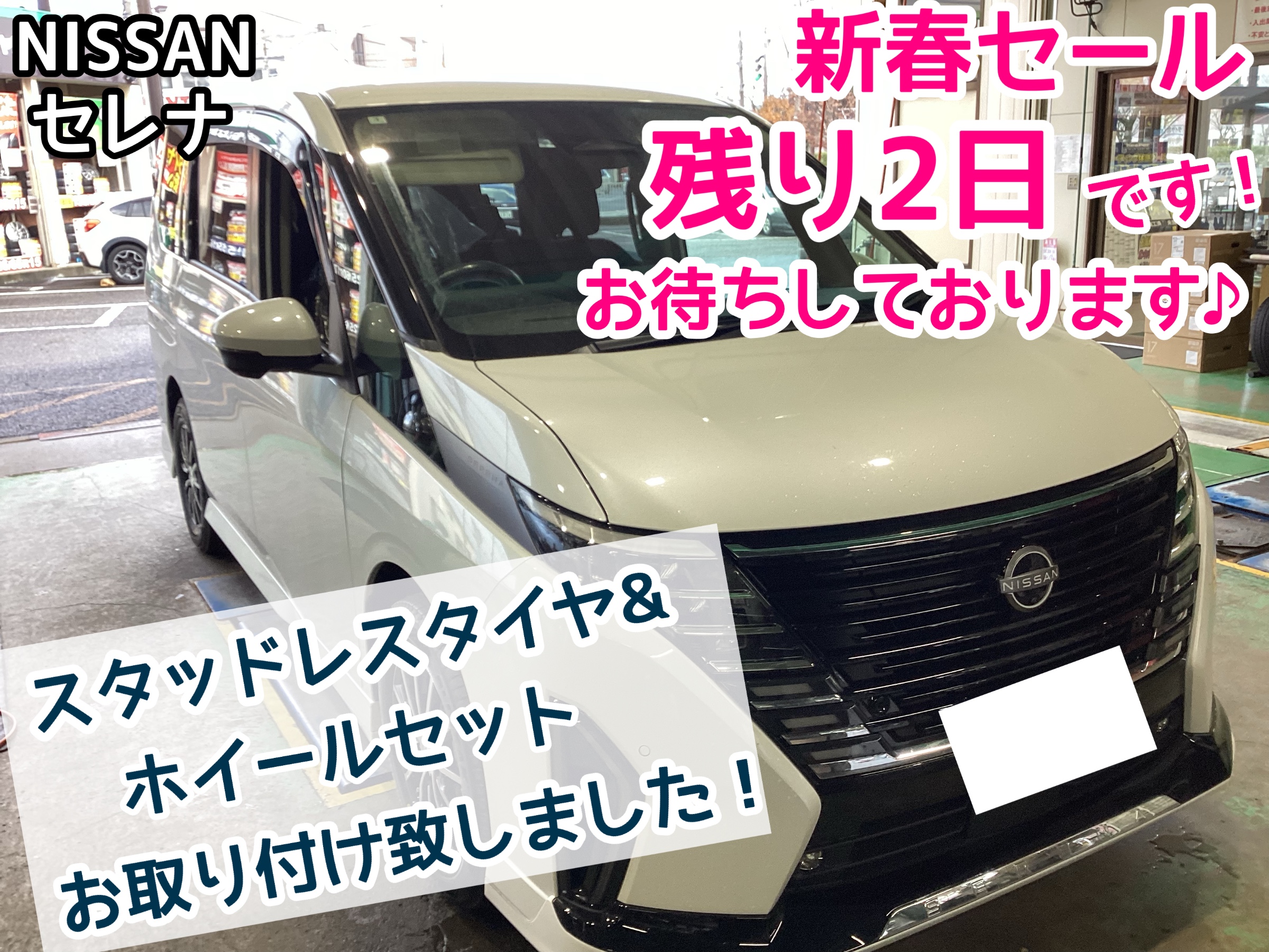 会報28〜40セット Amazon.co.jp: BMZ インソール アシトレワーカーズ L (26.5-27.5