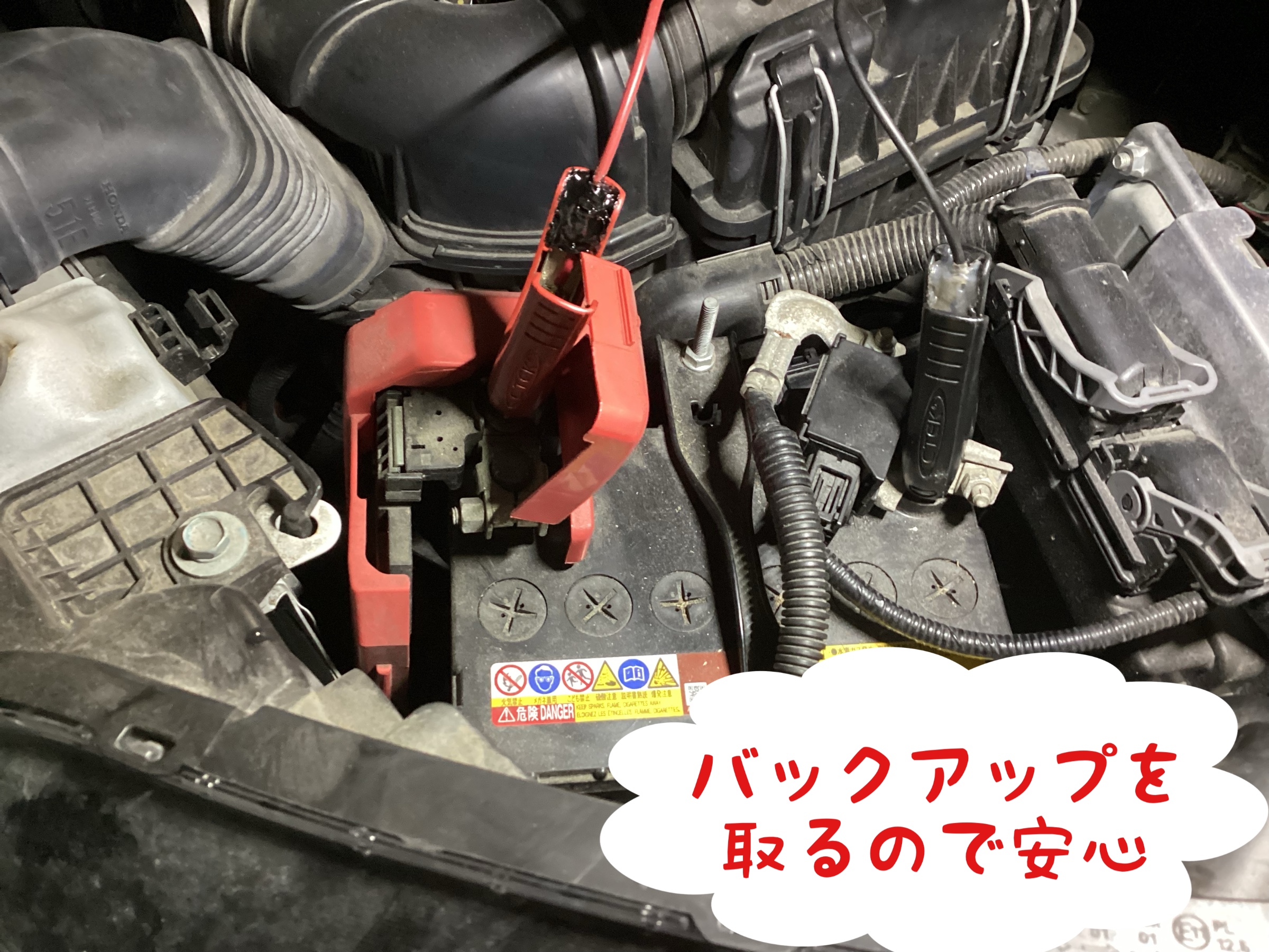 スタッフが撮影した写真です