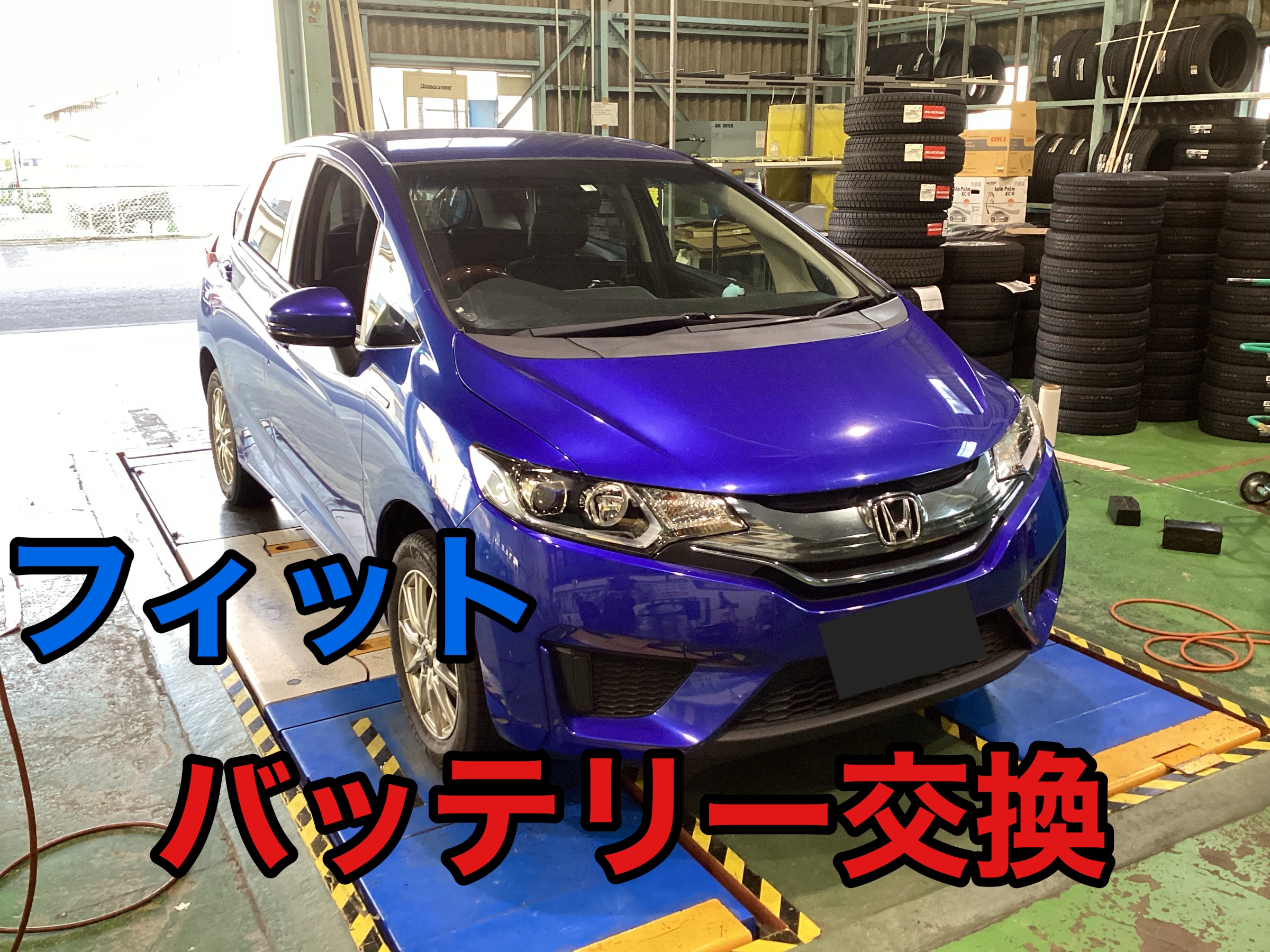 スタッフが撮影した写真です。