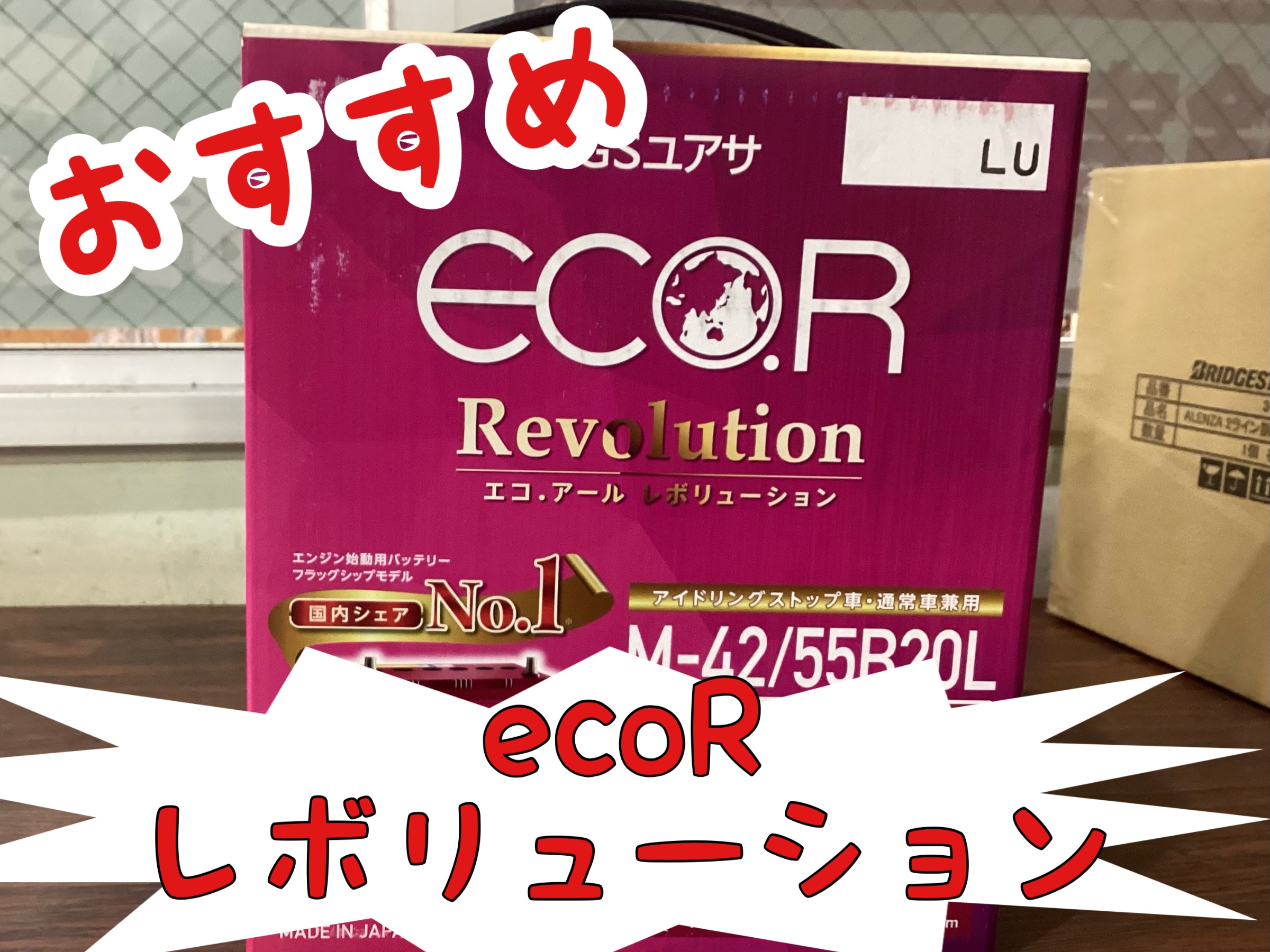 スタッフが撮影した写真です。