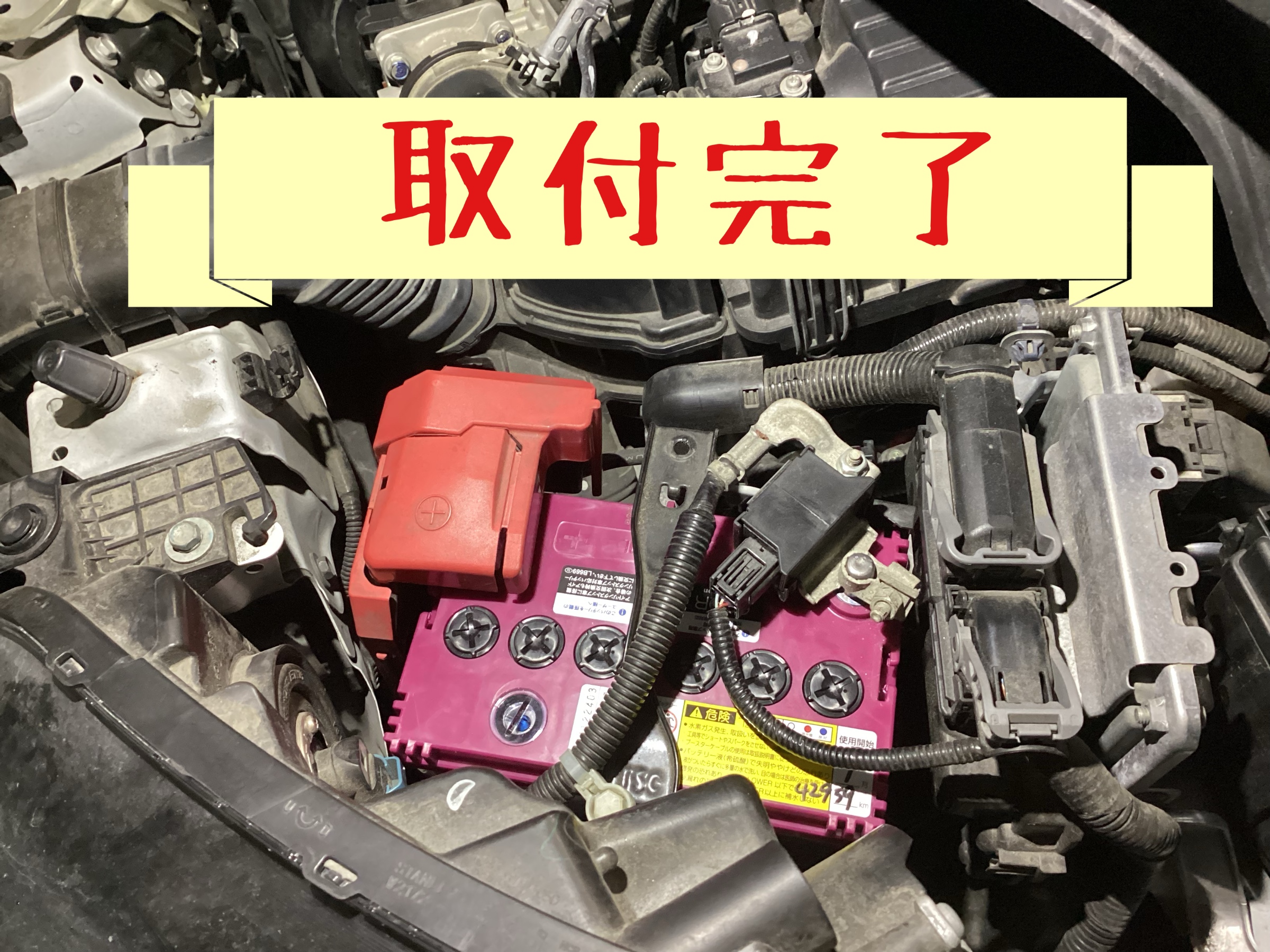 スタッフが撮影した写真です。