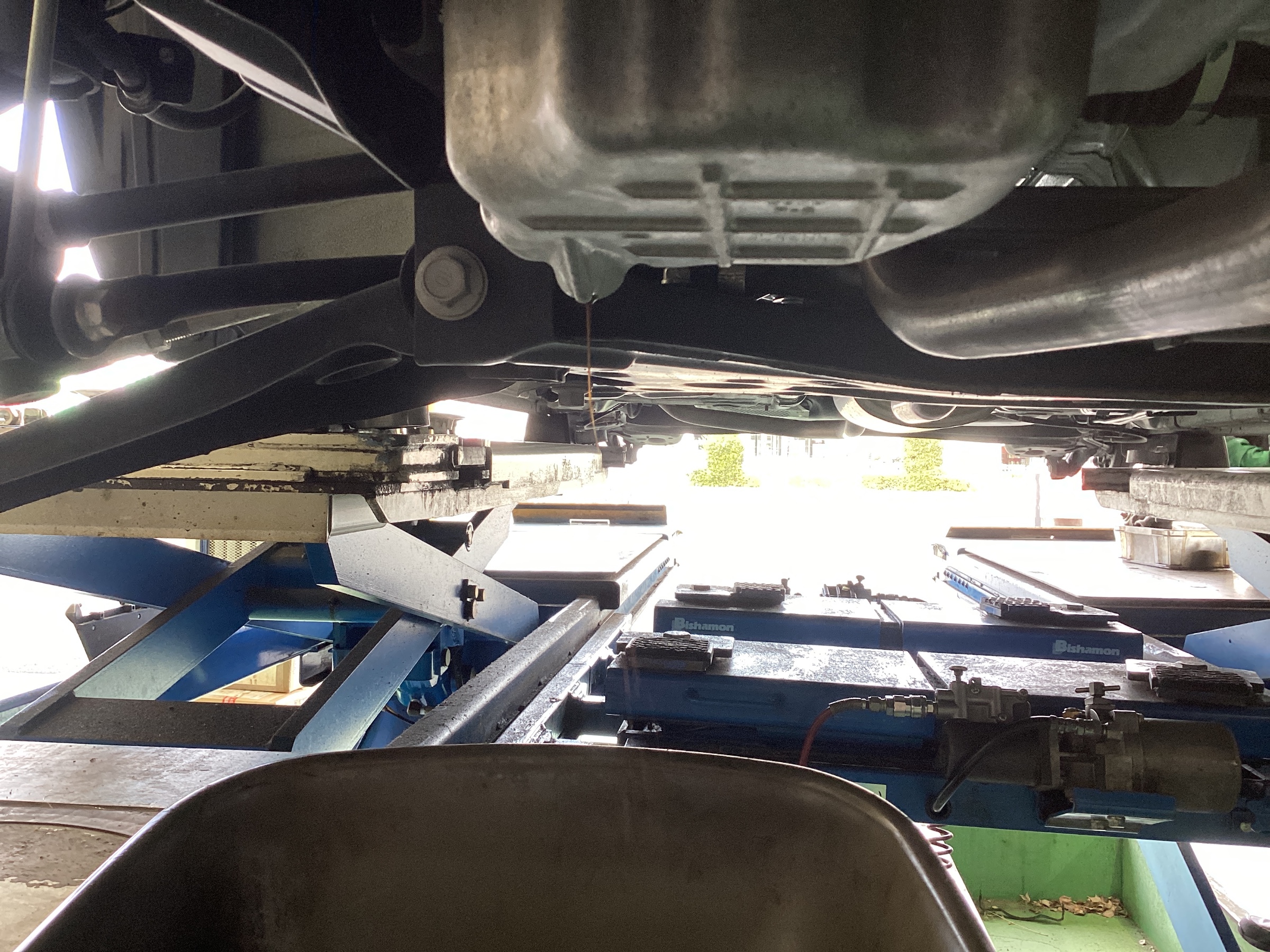 スタッフ撮影分