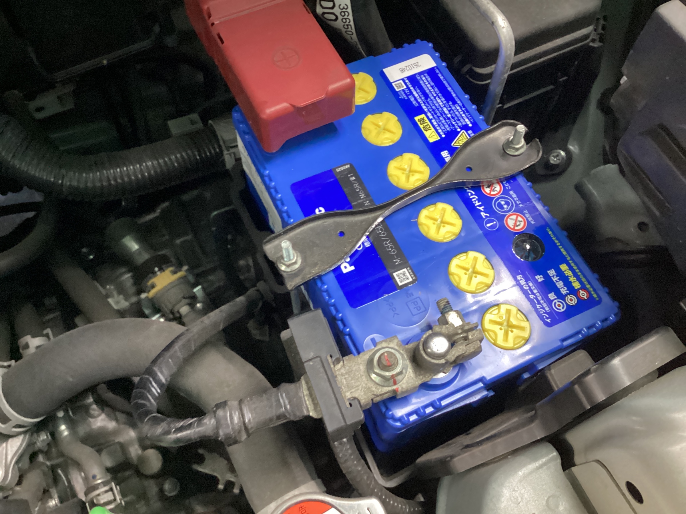 スタッフ撮影分