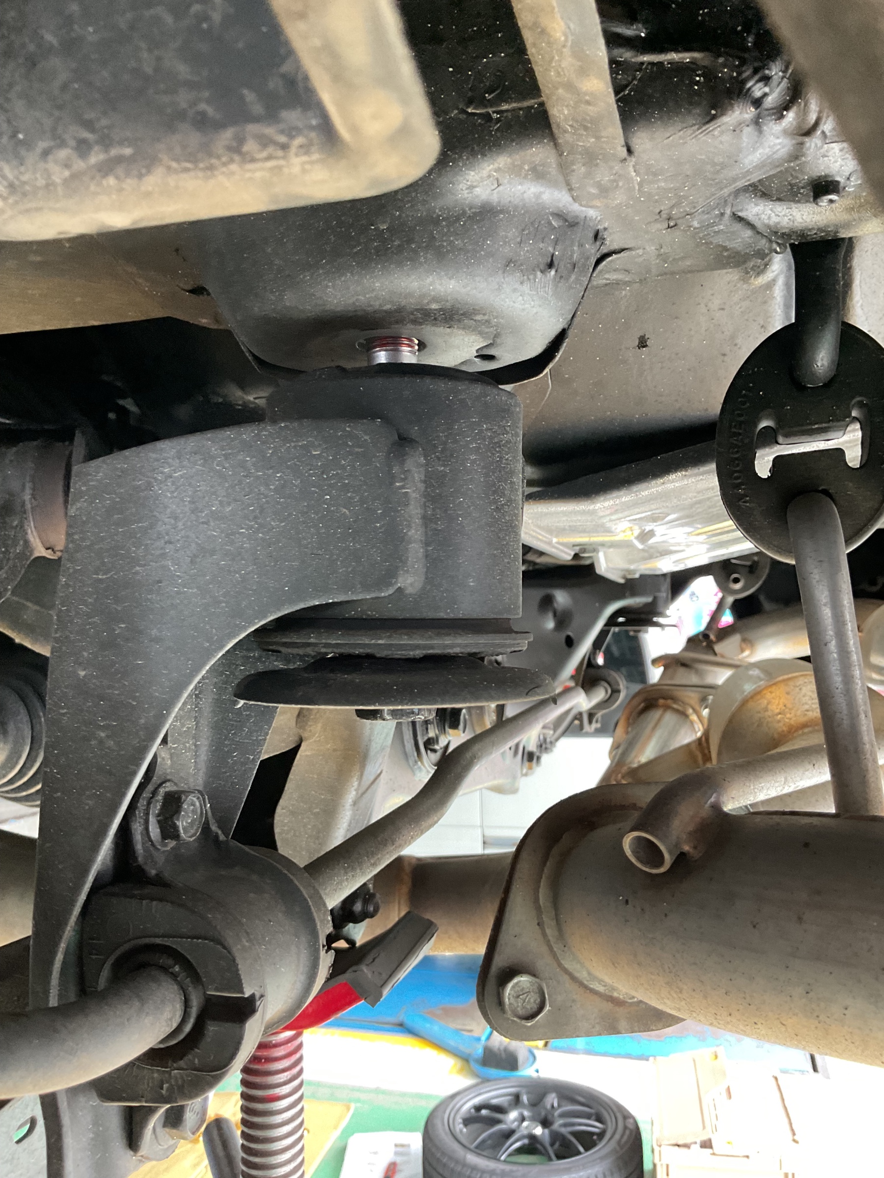 GR86セミリジッドセンターリングカラー Amazon | Revolution セミリジッドセンターリングカラー RZN8-SRCC