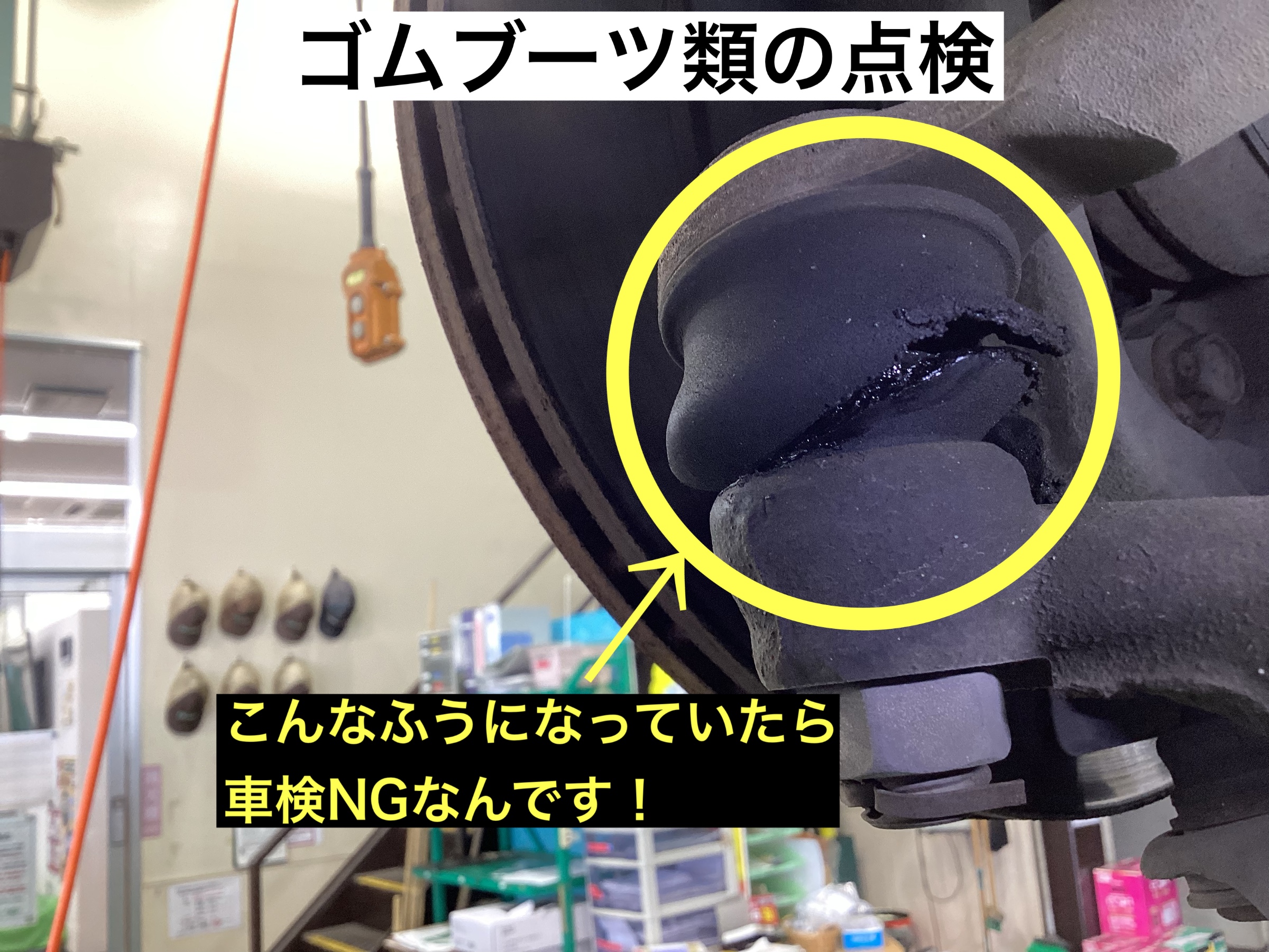 スタッフが撮影