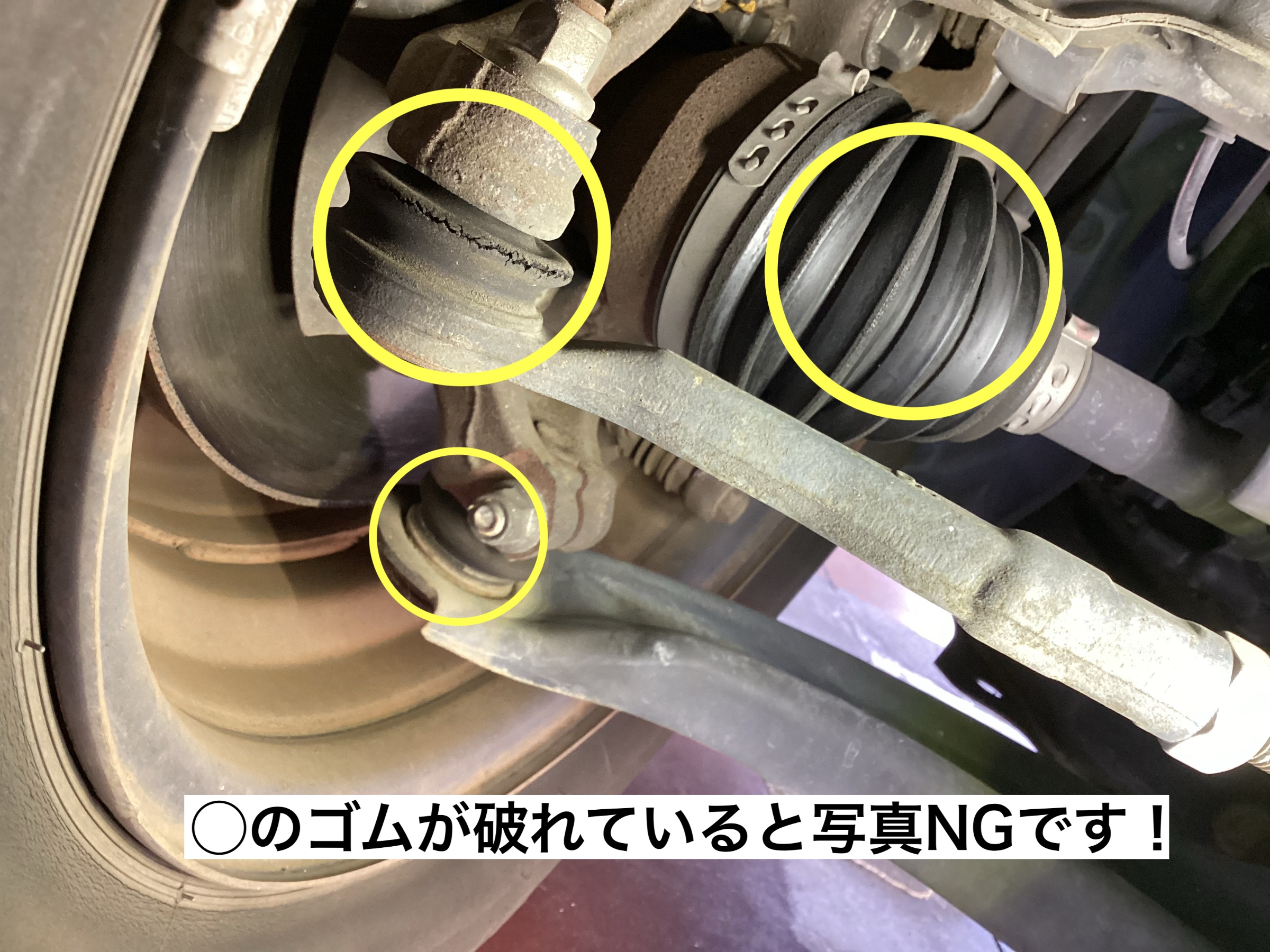 スタッフが撮影