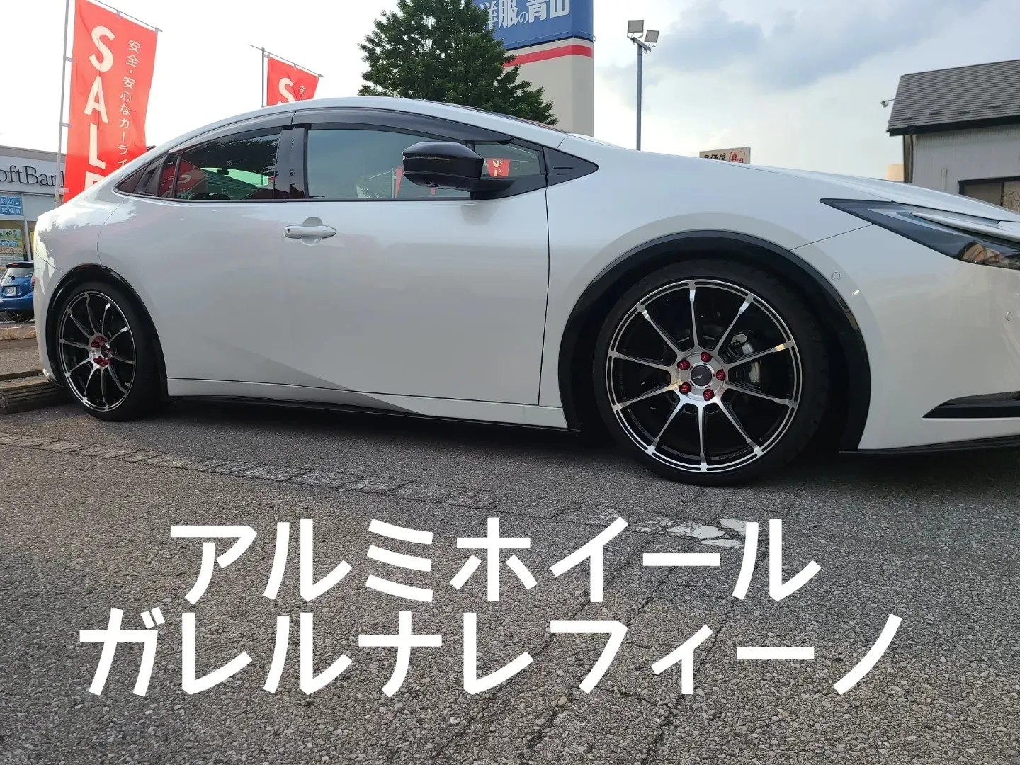 スタッフが撮影しました。