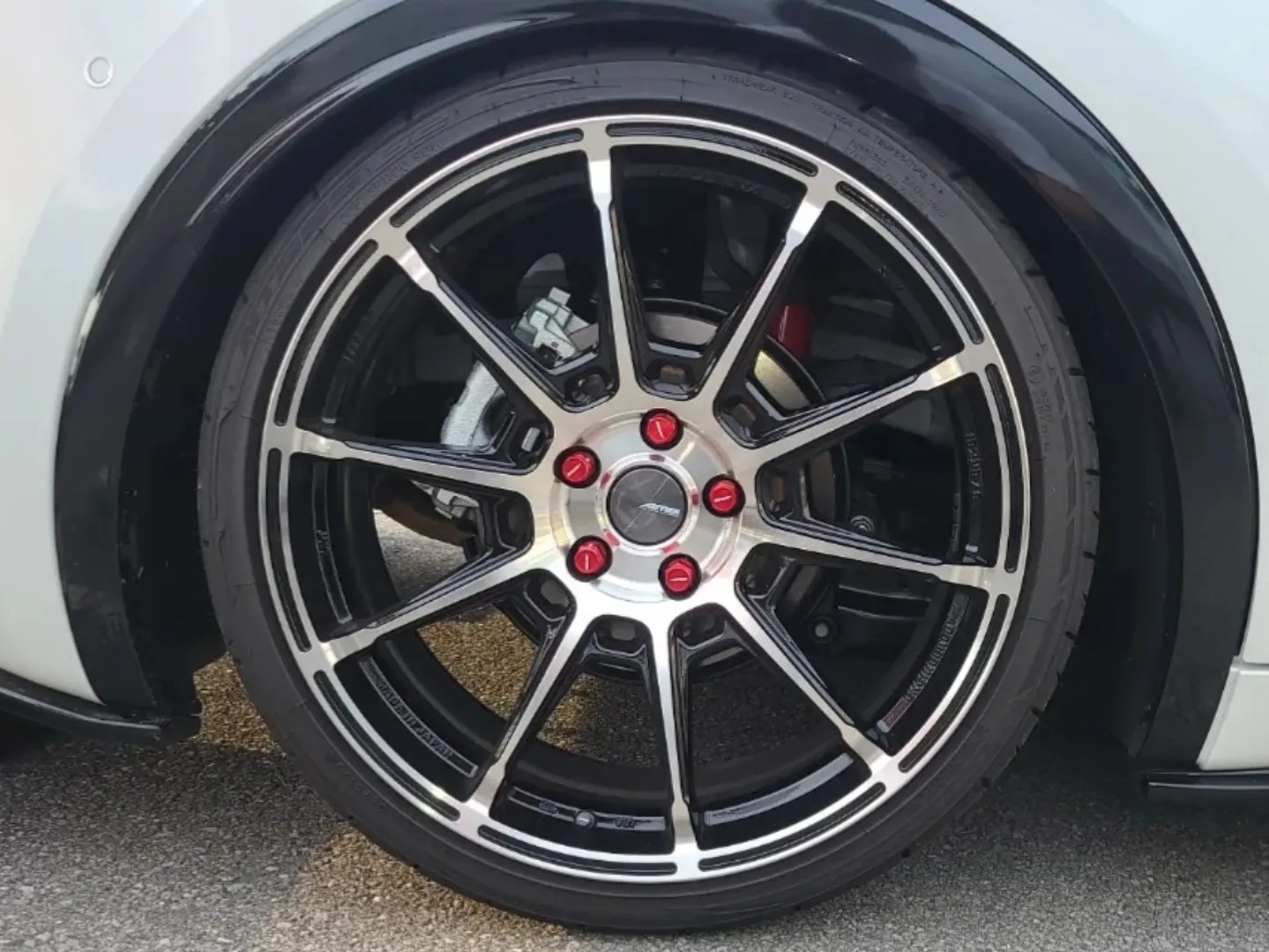 スタッフが撮影しました。