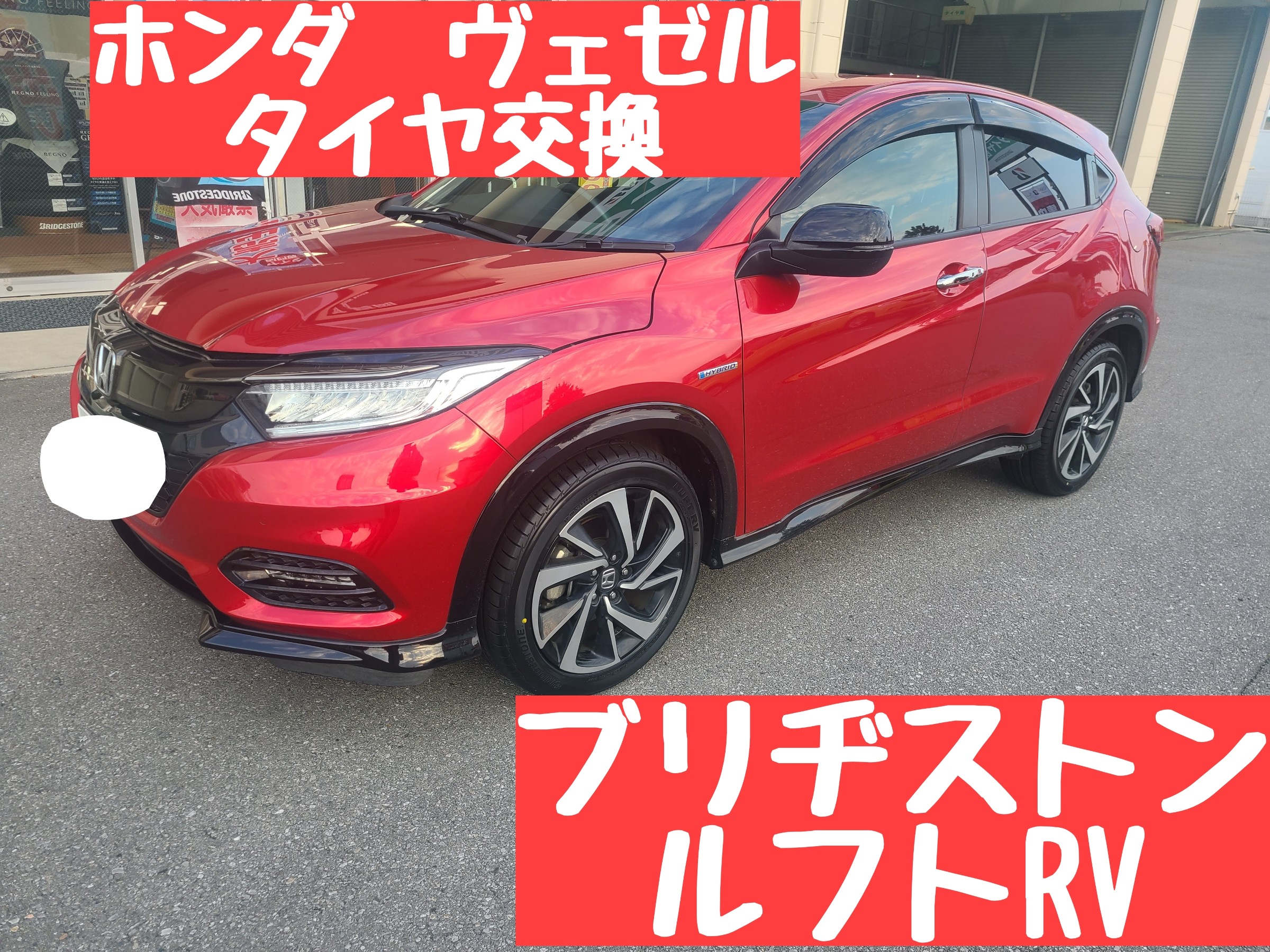 スタッフが撮影しました。