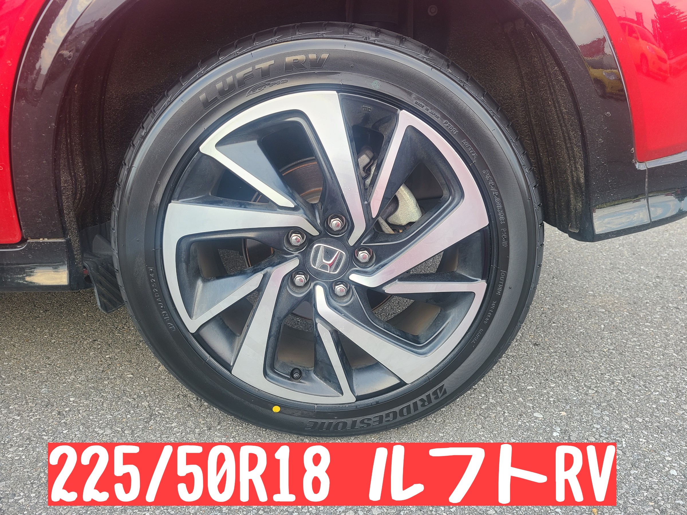 スタッフが撮影しました。