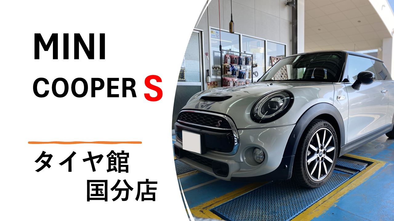 スタッフが撮影した画像