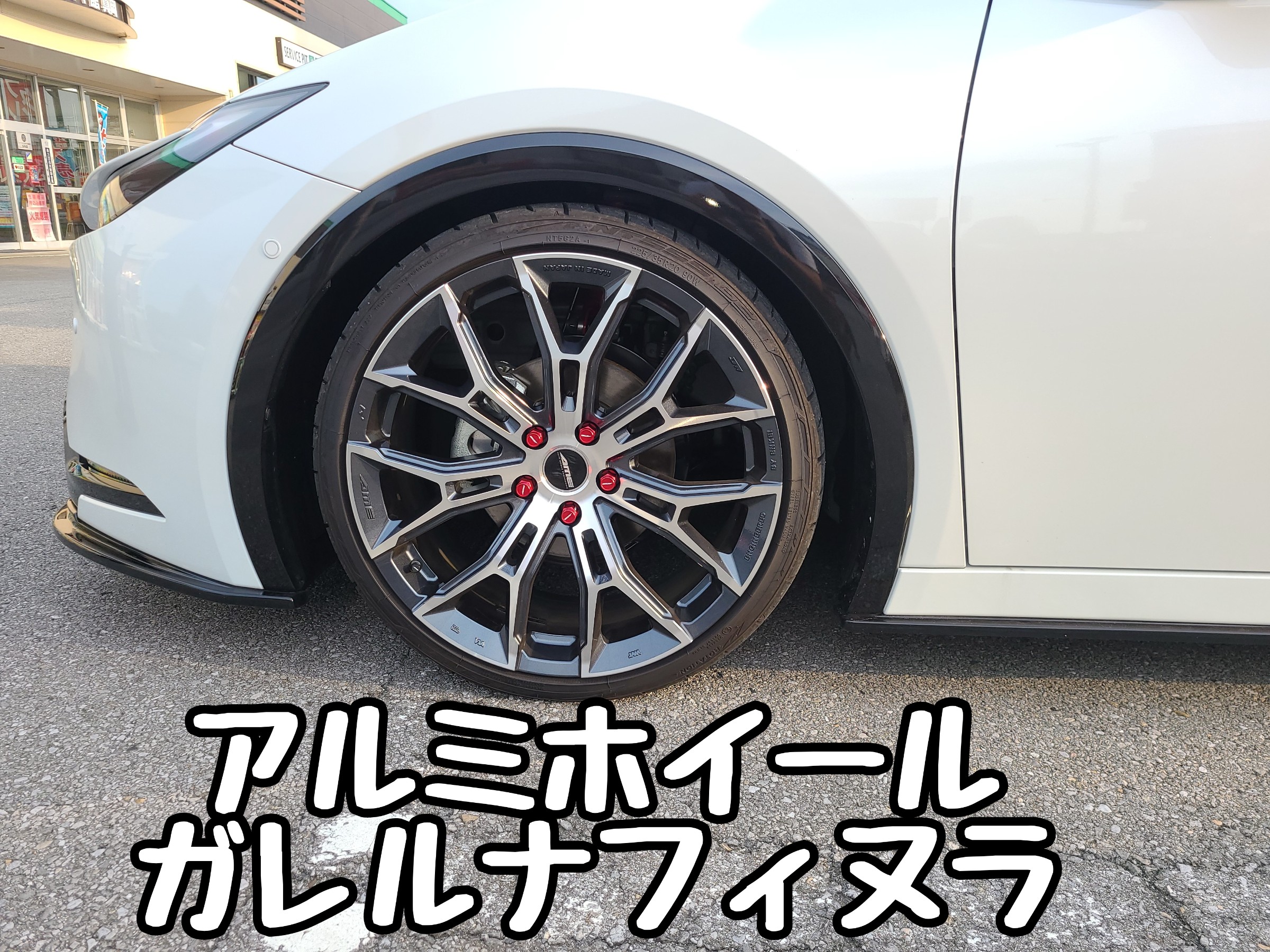 スタッフが撮影しました。