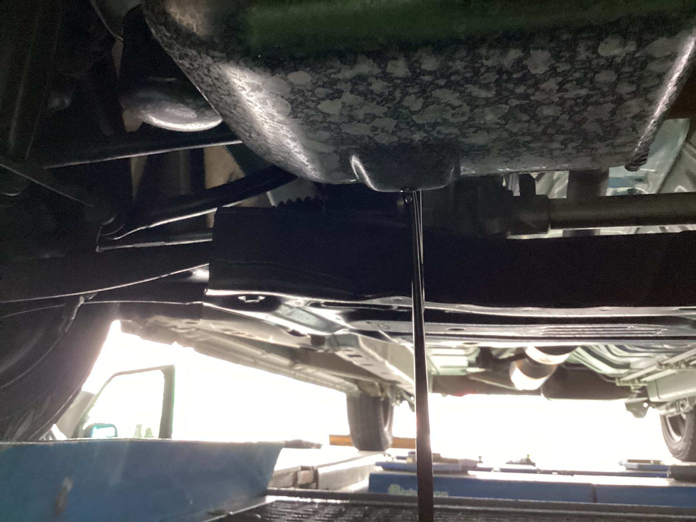 スタッフ撮影分