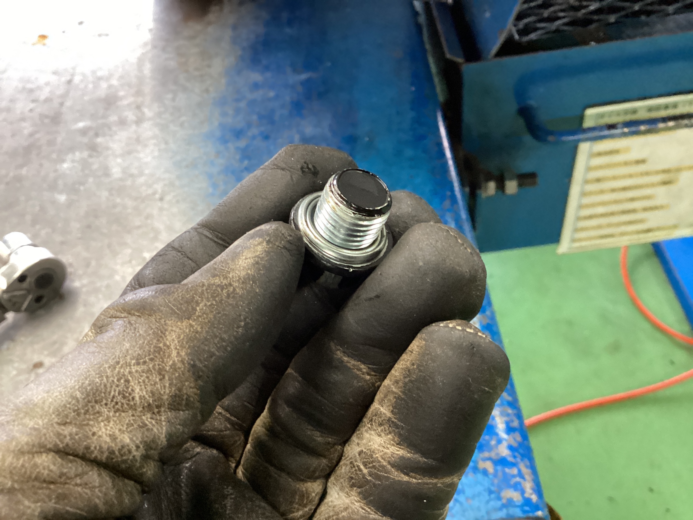 スタッフ撮影分