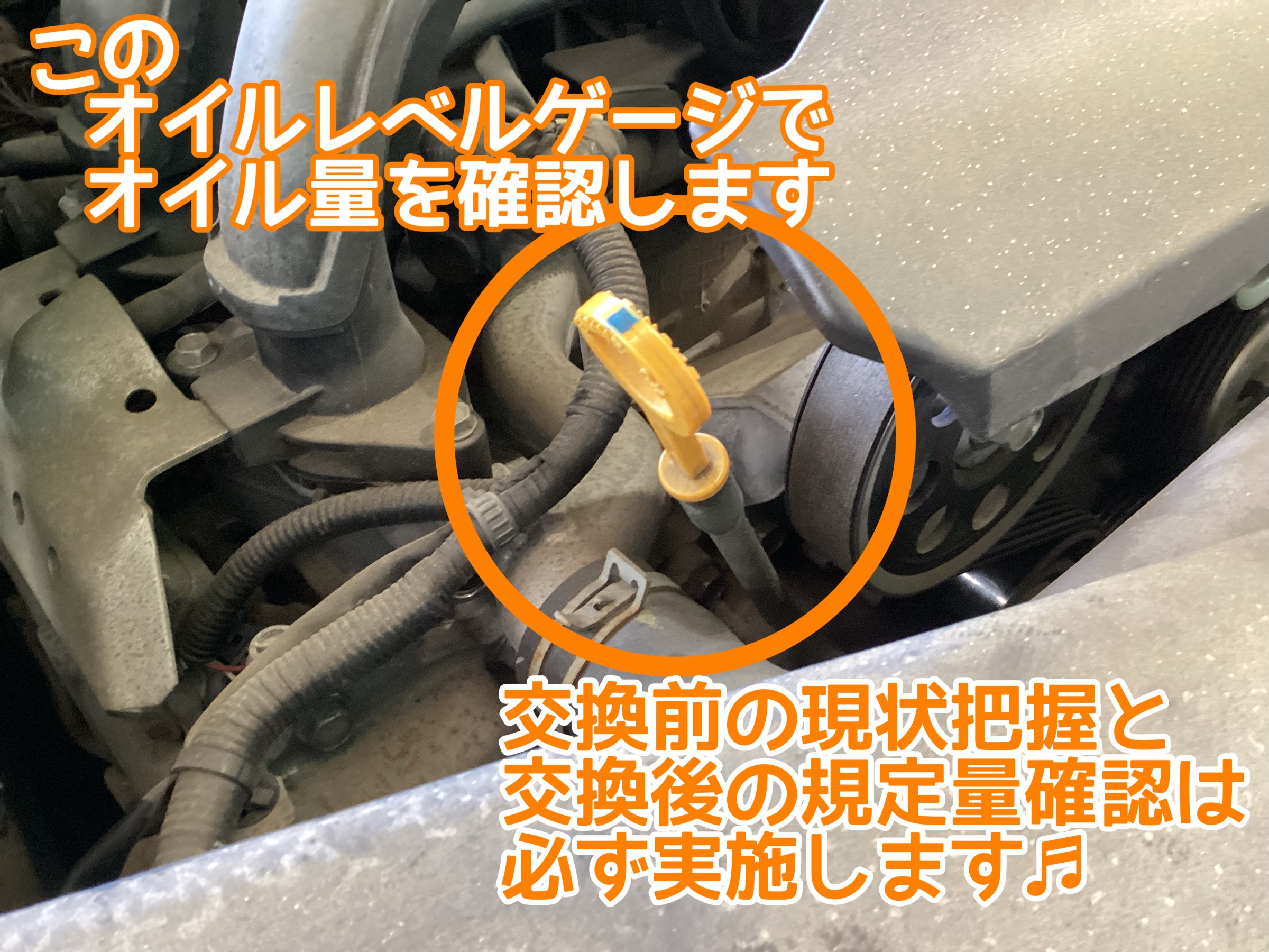 タイヤ館　オイル交換