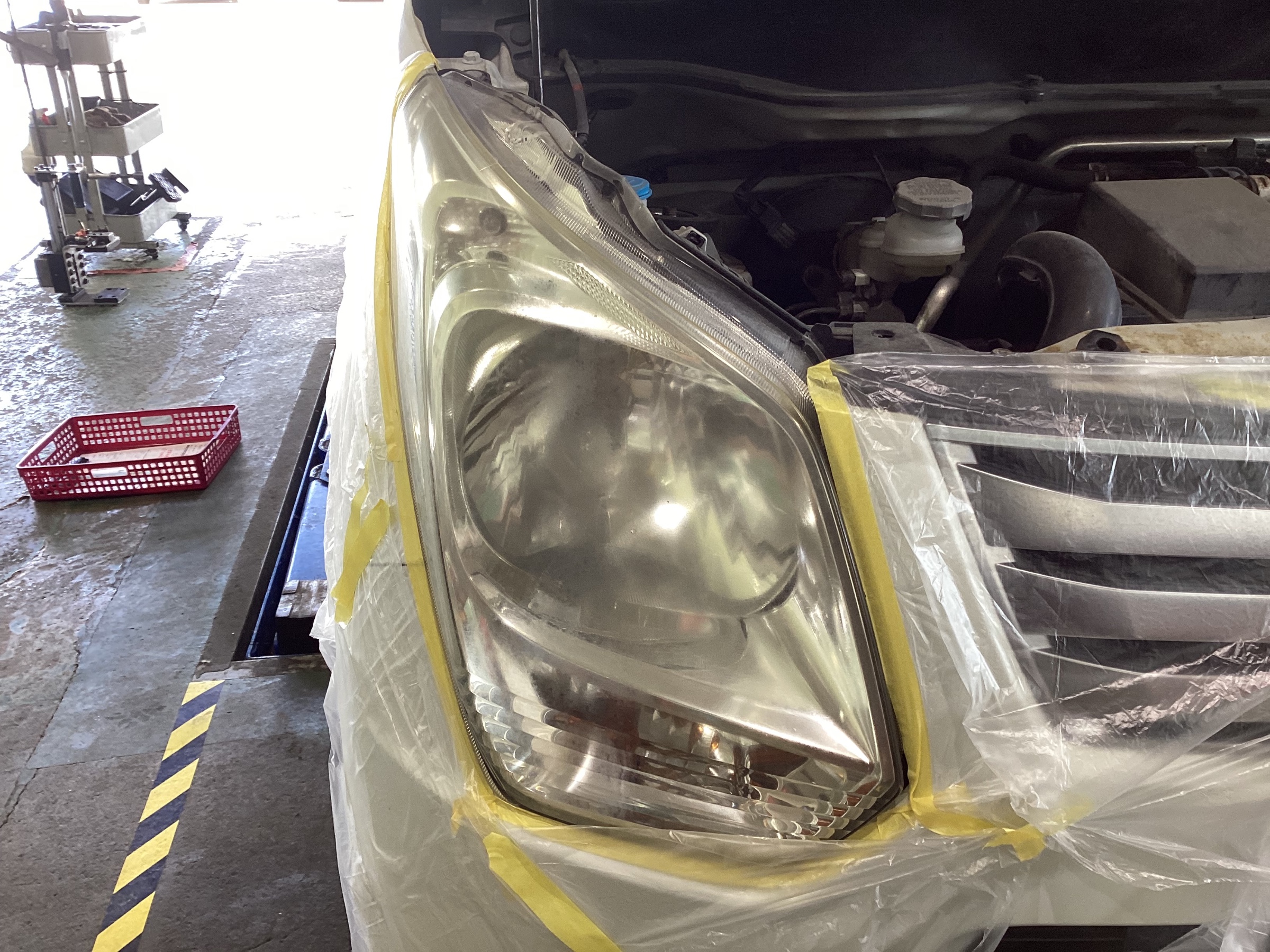 スタッフが撮影した画像です