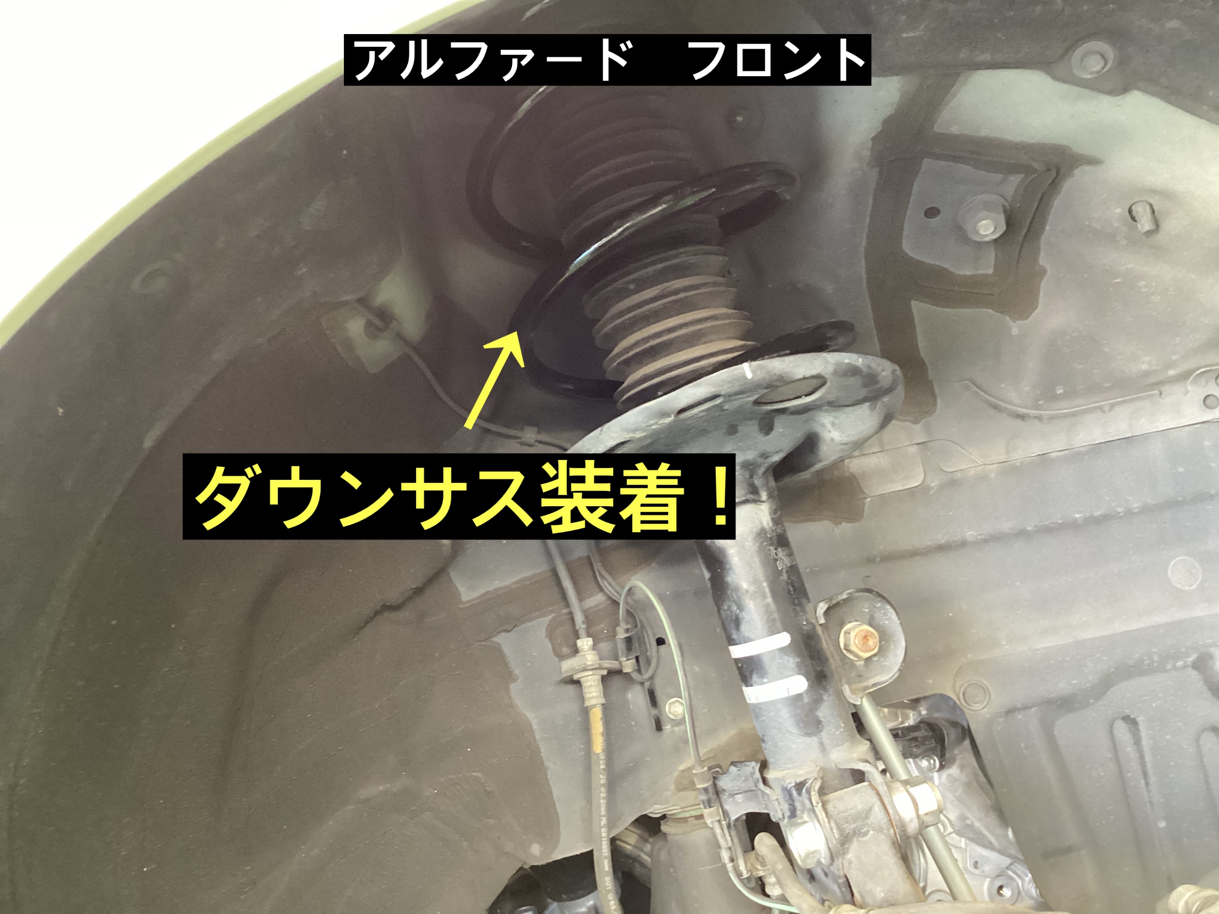 スタッフが撮影&POPは会社提供使用