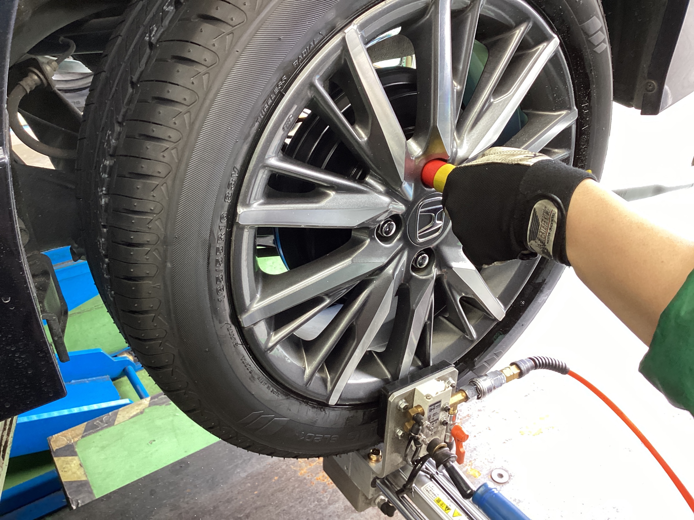 スタッフ撮影分