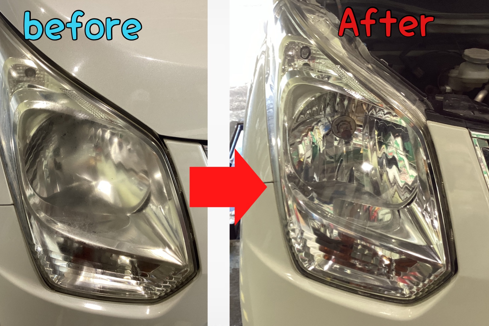 スタッフが撮影した写真です。