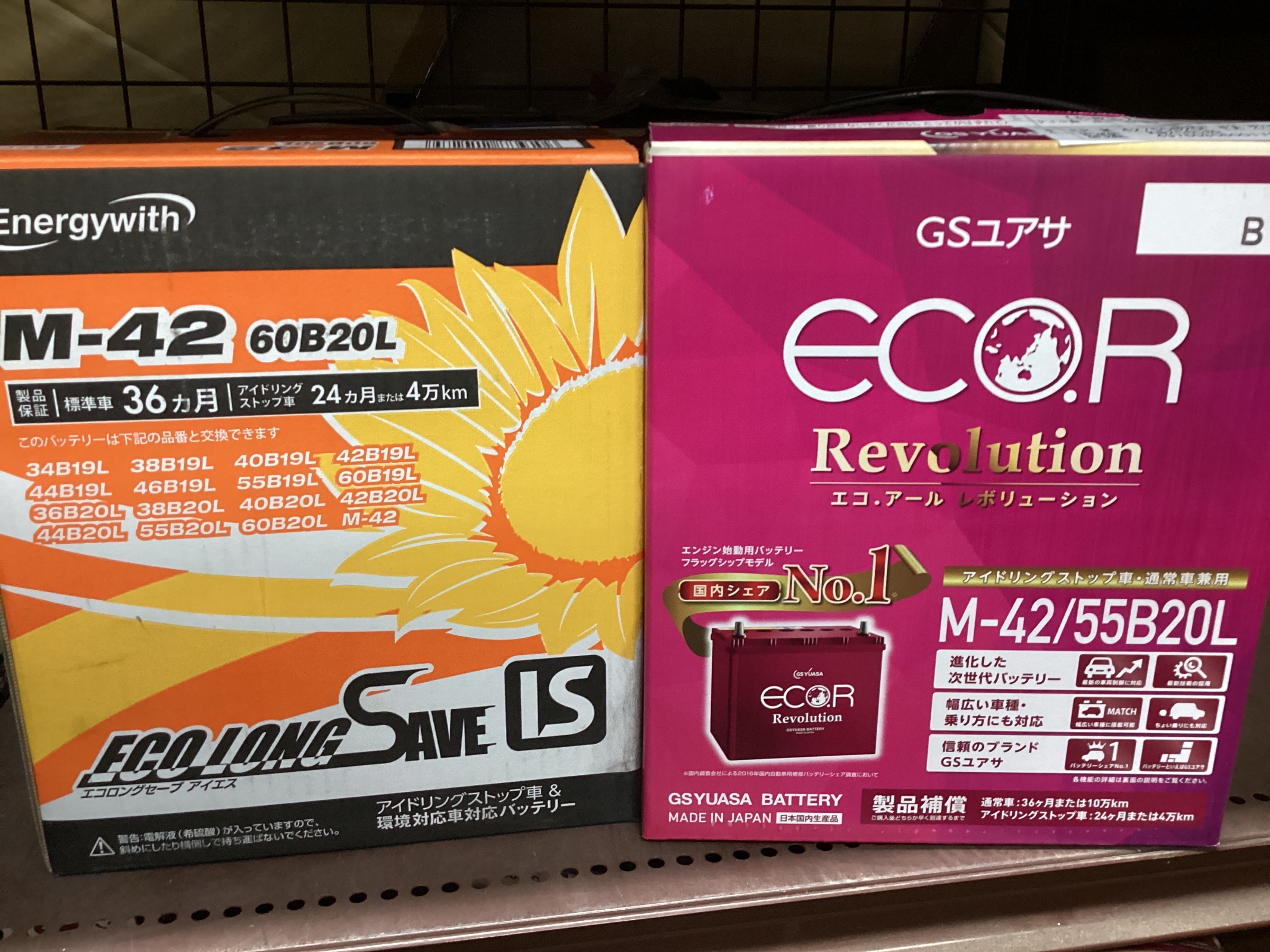 スタッフ撮影分