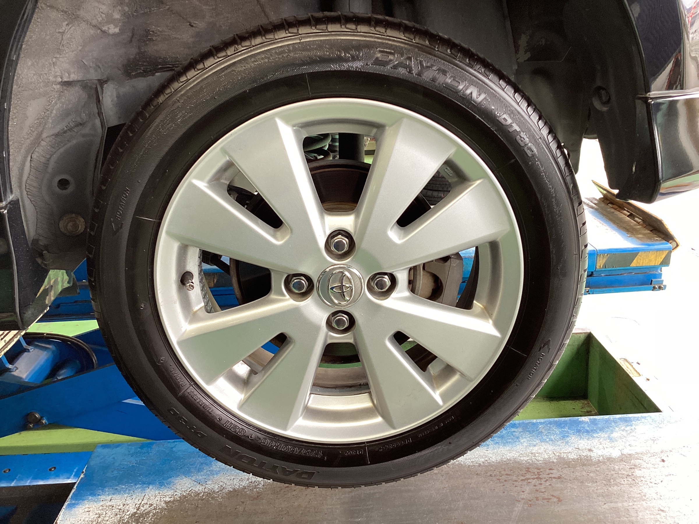 スタッフ撮影分