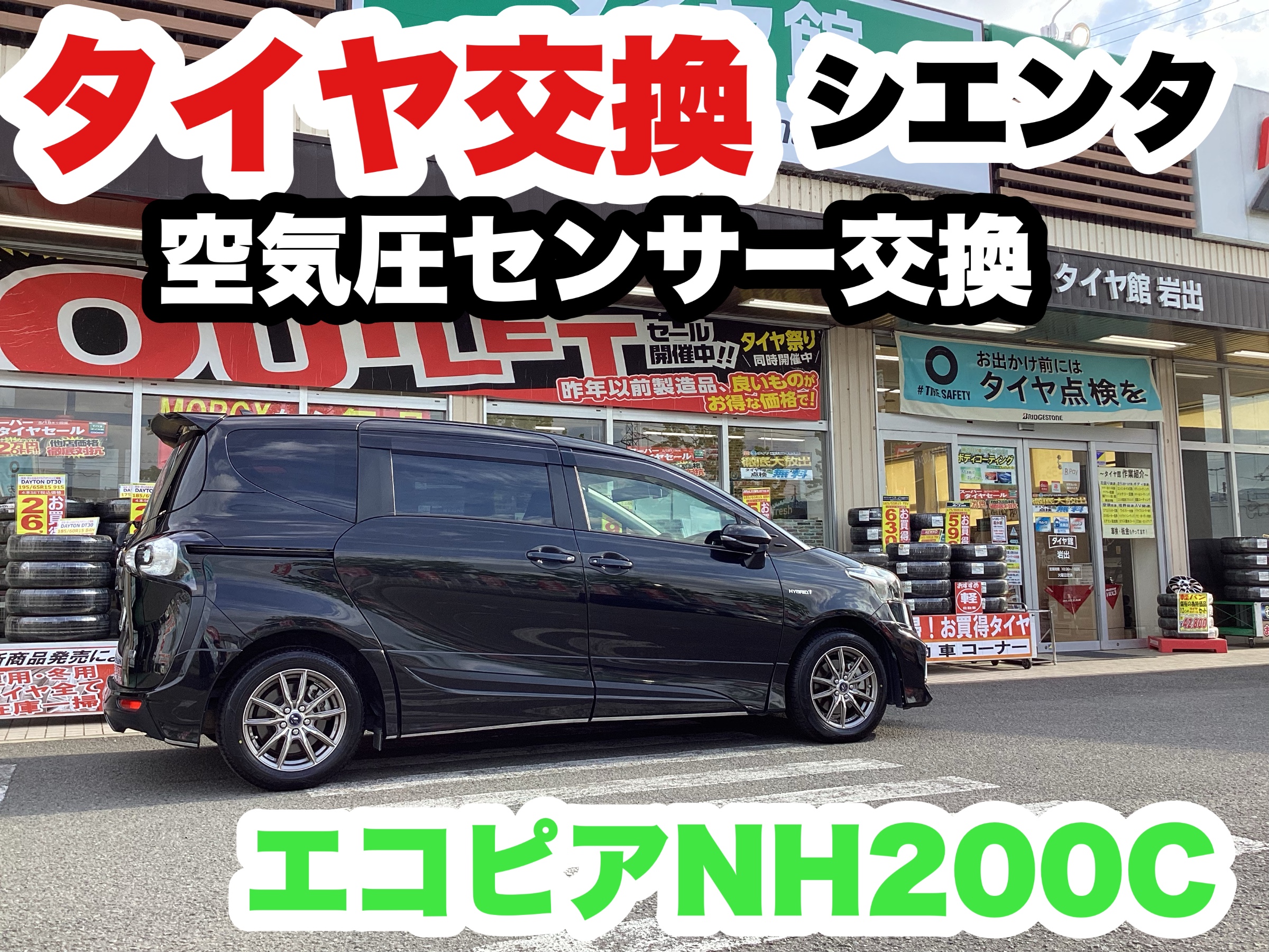 スタッフ撮影分