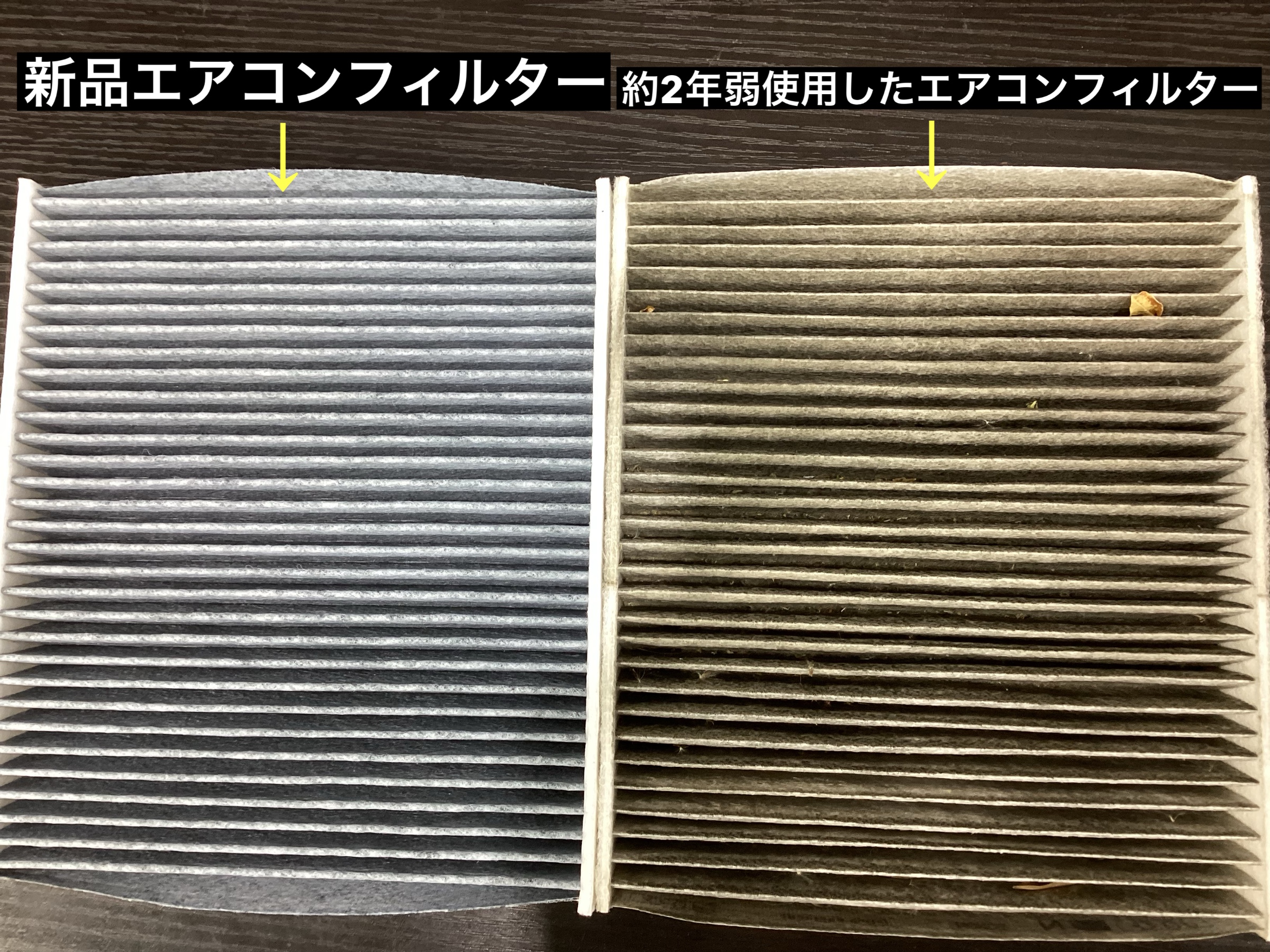 スタッフが撮影
