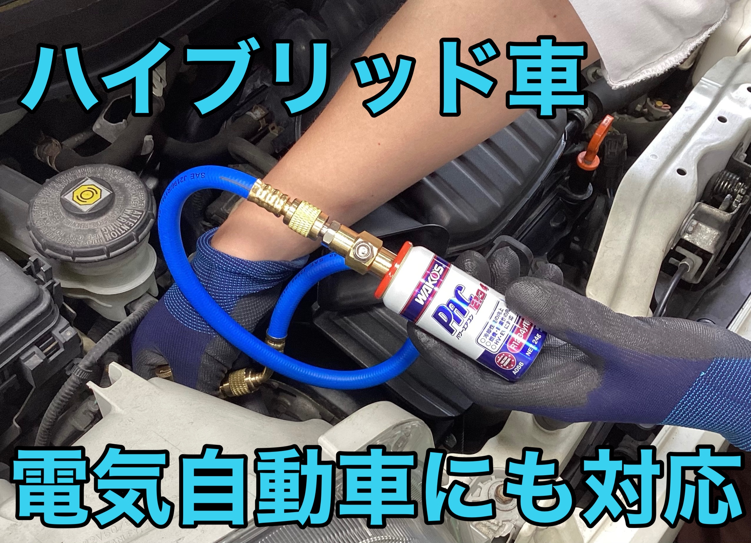 WAKO'S PAC1234 カーエアコン潤滑添加剤 新品12本セット WAKO'S PAC1234 カーエアコン潤滑添加剤 新品12本セット WAKO'S