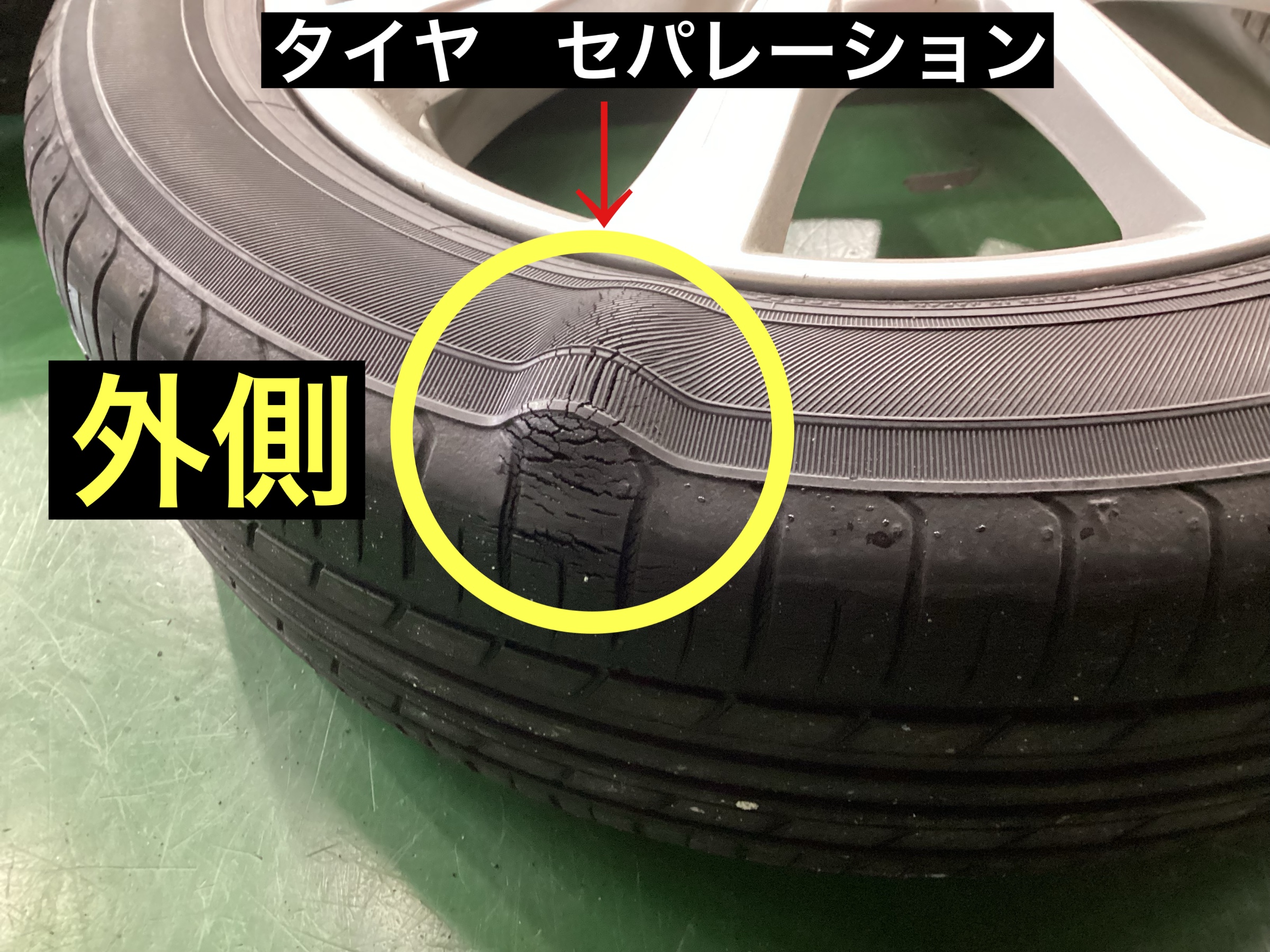 スタッフが撮影