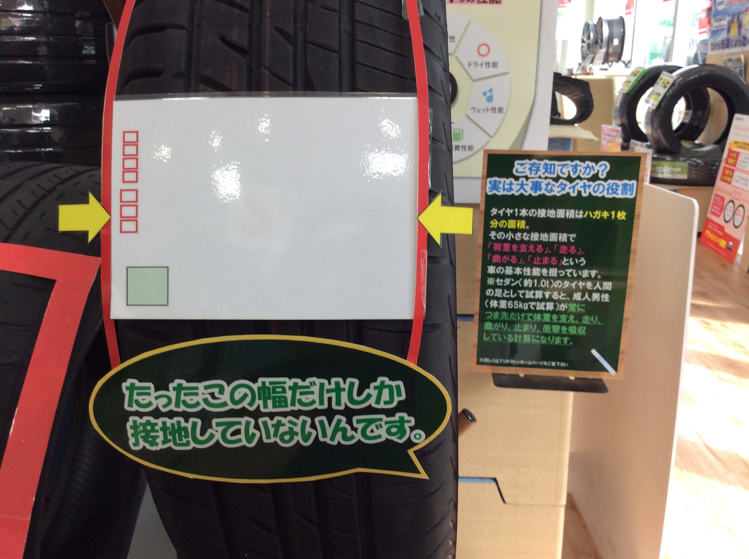 スタッフが撮影した画像です。